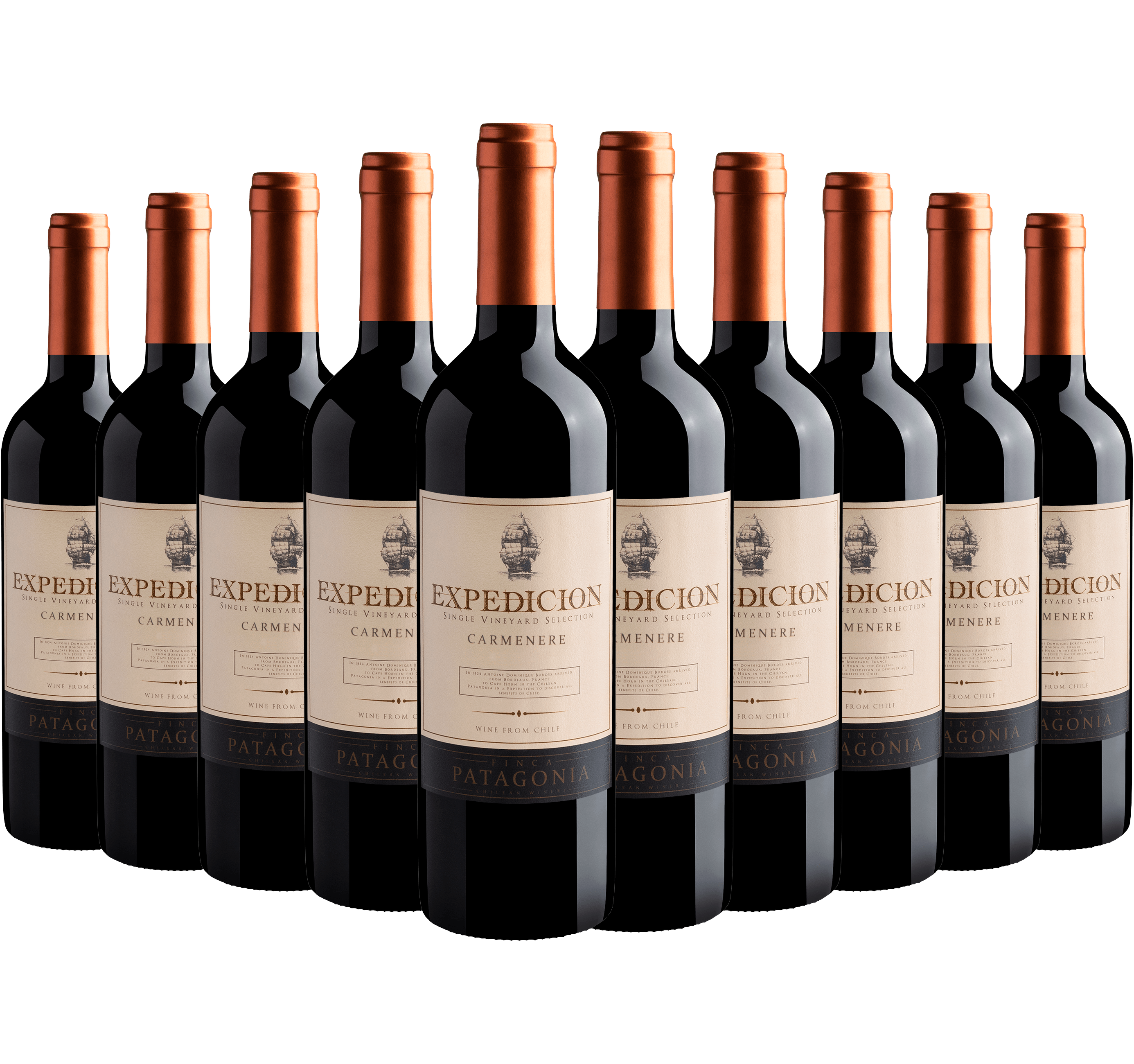 Kit 10 Finca Patagonia Expedicion Carménère*