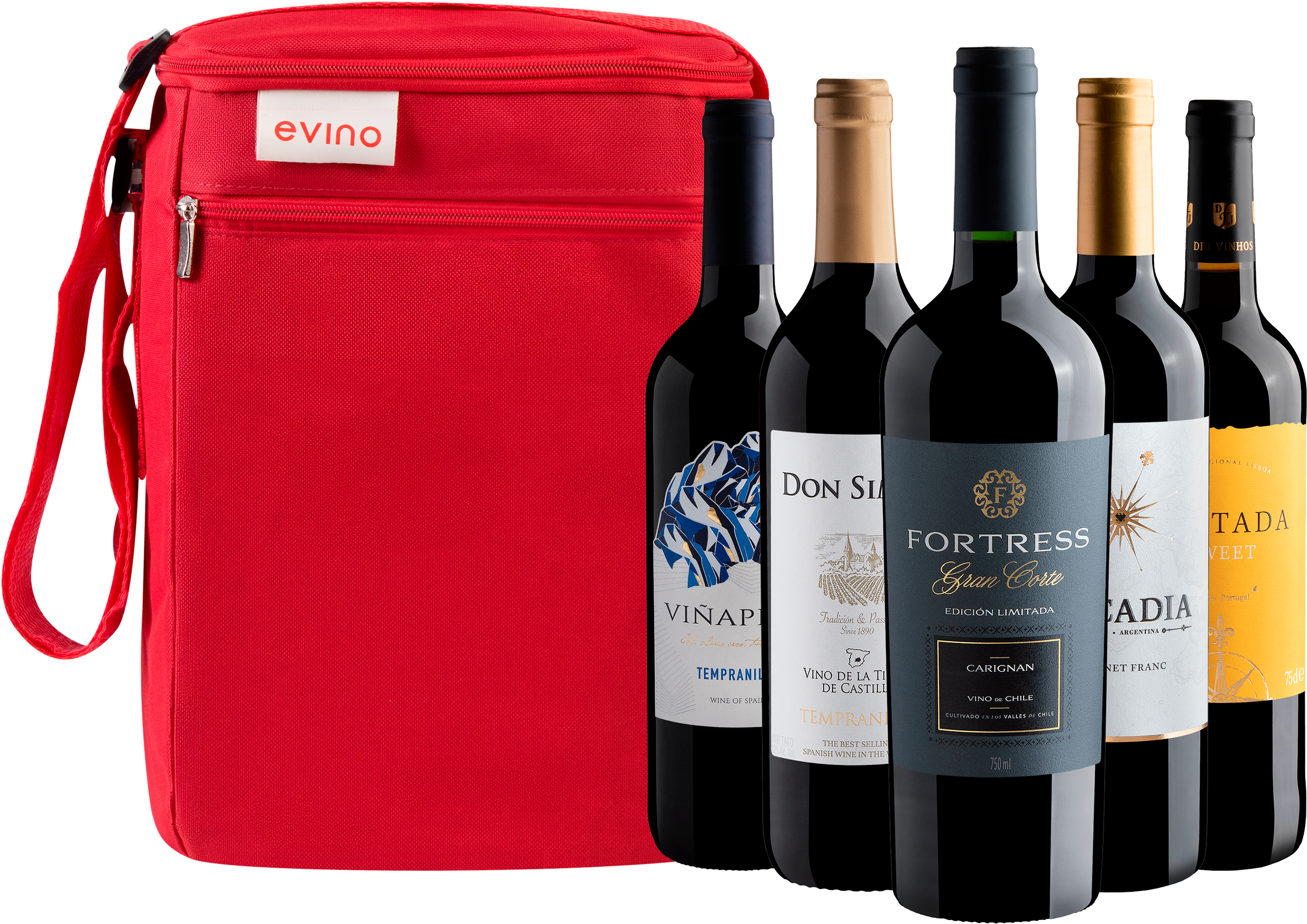 Kit 5 Vinhos Tintos + Bolsa Exclusiva