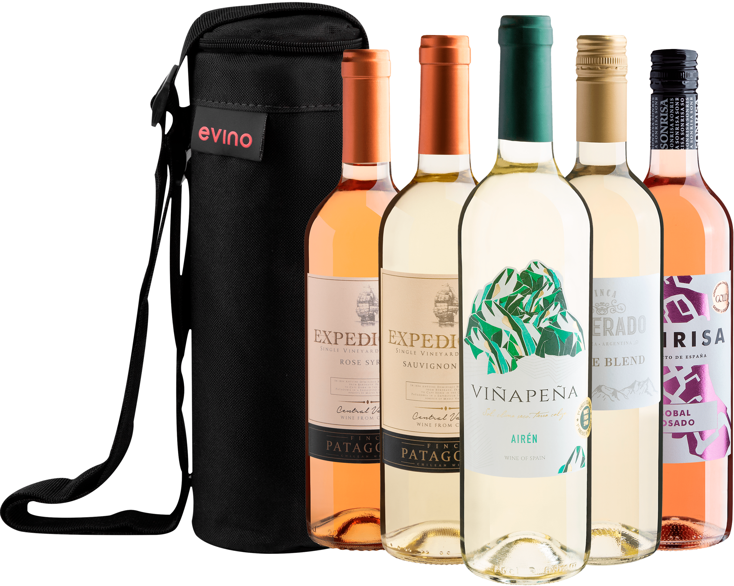 Kit 5 Vinhos Refrescantes + Bolsa Exclusiva