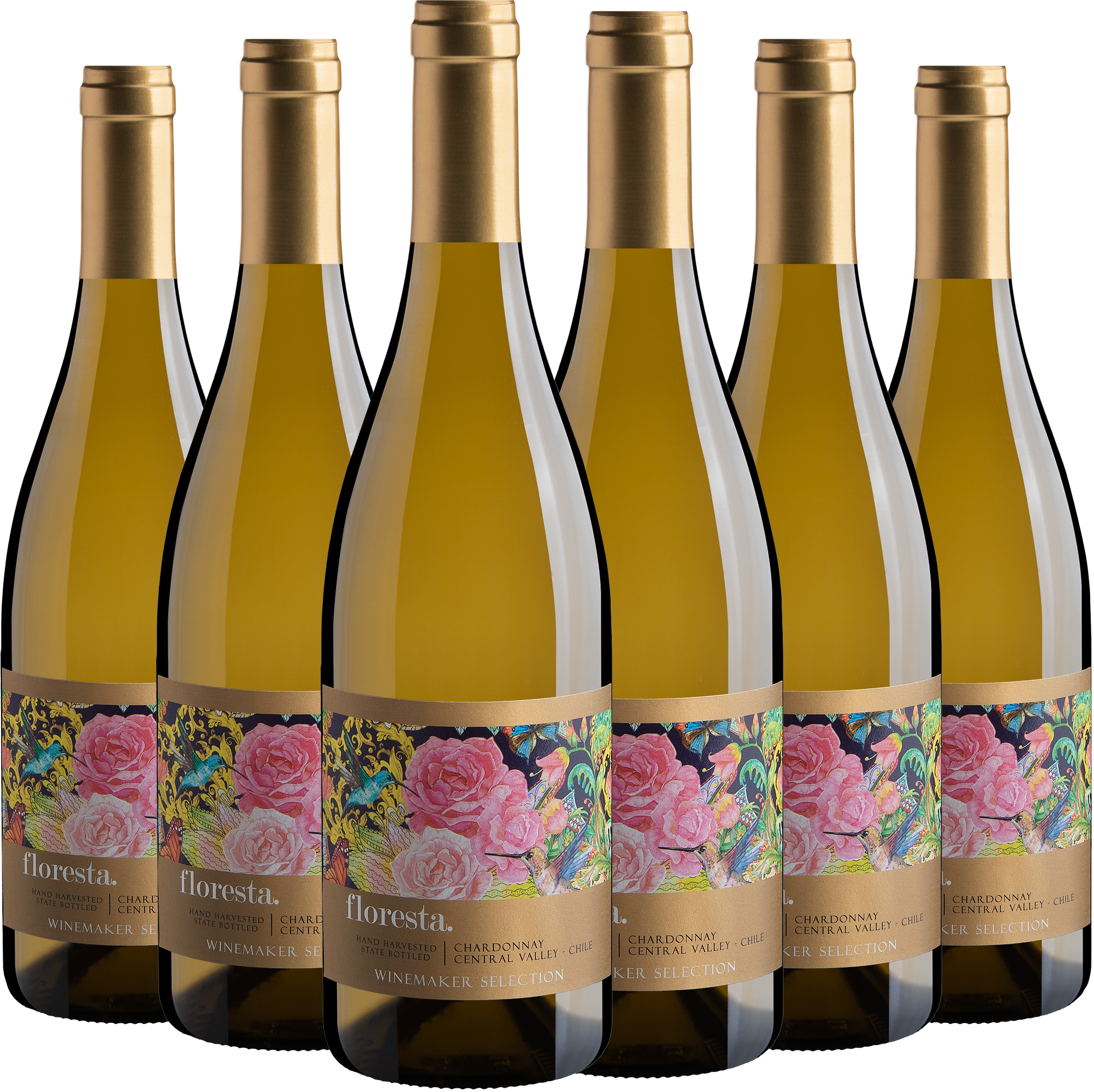 Kit 6 Floresta Winemaker Selection Chardonnay