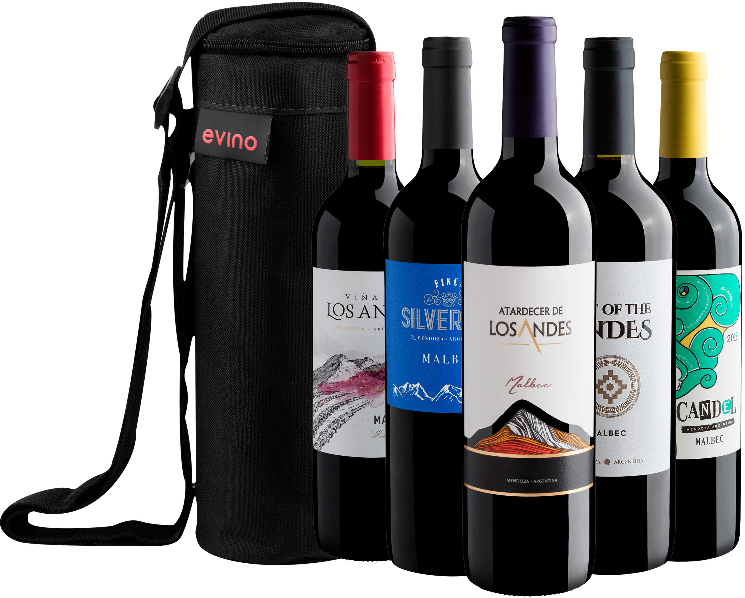 Kit 5 Malbecs + Bolsa Exclusiva