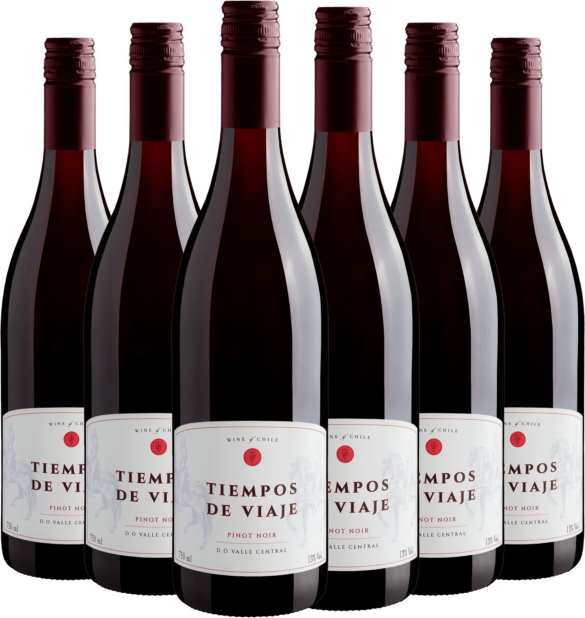 Kit 6 Tiempos de Viaje Pinot Noir Valle Central D.O.
