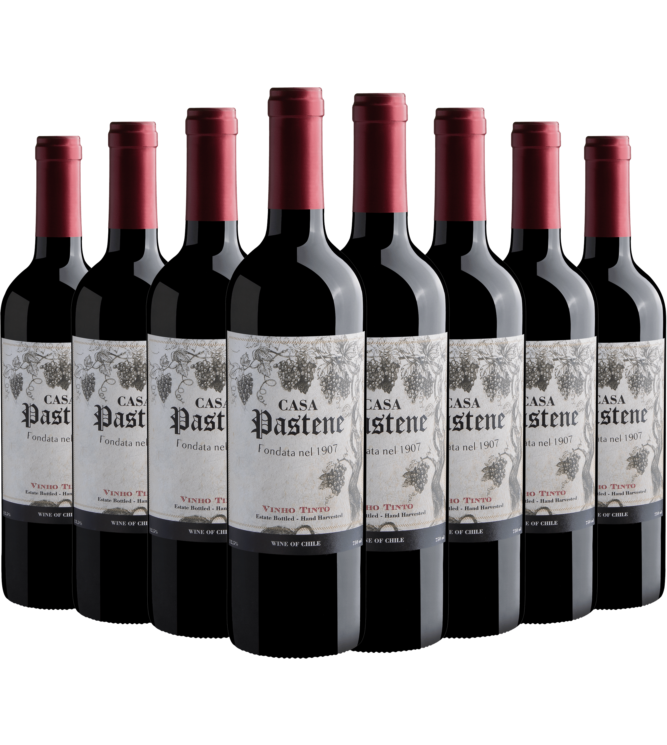 Kit 8 Casa Pastene Vinho Tinto