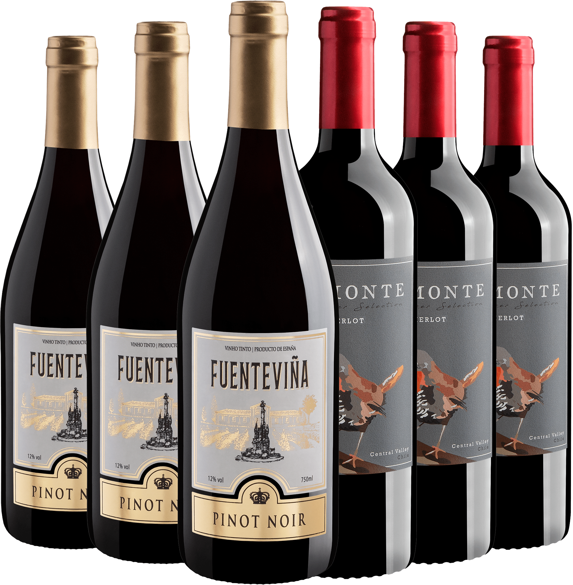Kit Pinot Noir e Merlot | 3 Fuenteviña + 3 Remonte Merlot