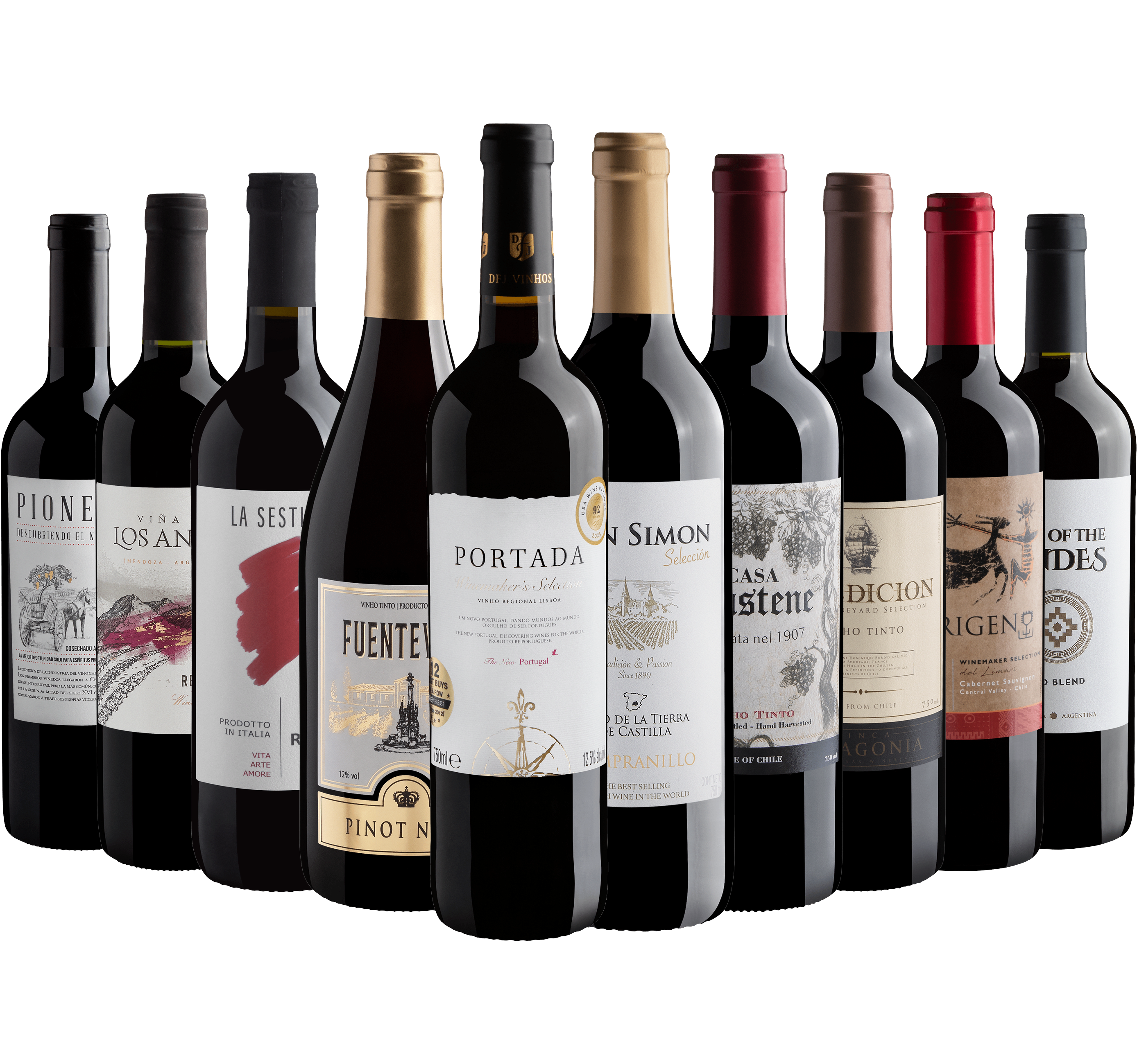 Kit 10 Vinhos Tintos com Portada