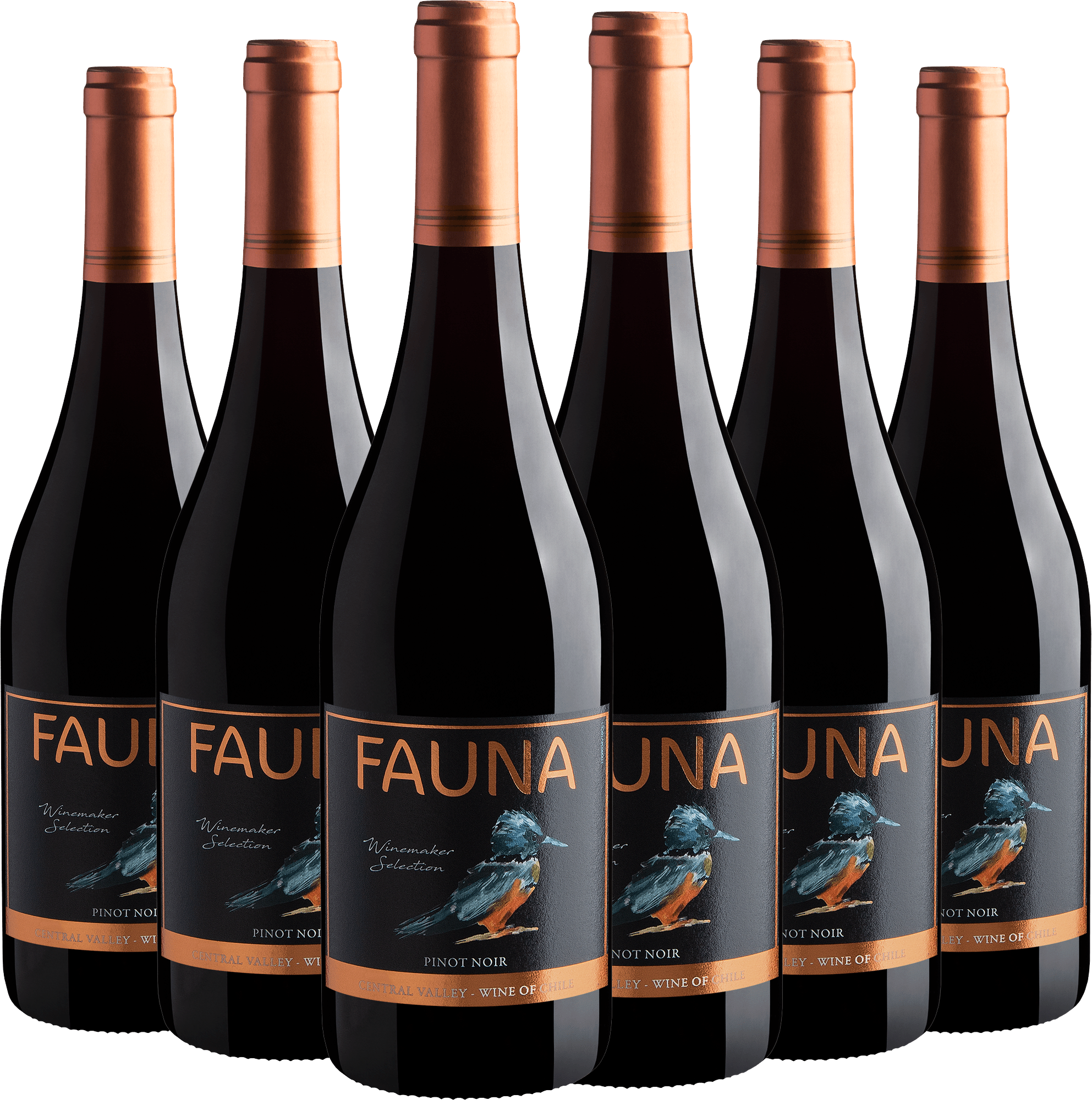 Kit 6 Fauna Winemaker Selection Pinot Noir*