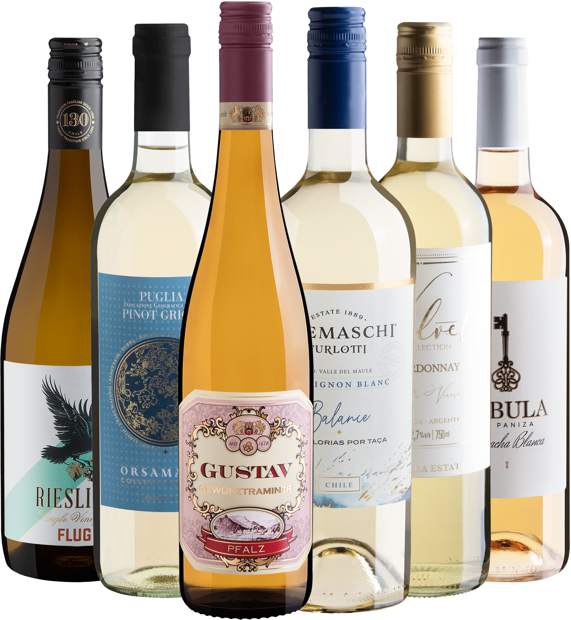 Kit 6 Vinhos Brancos