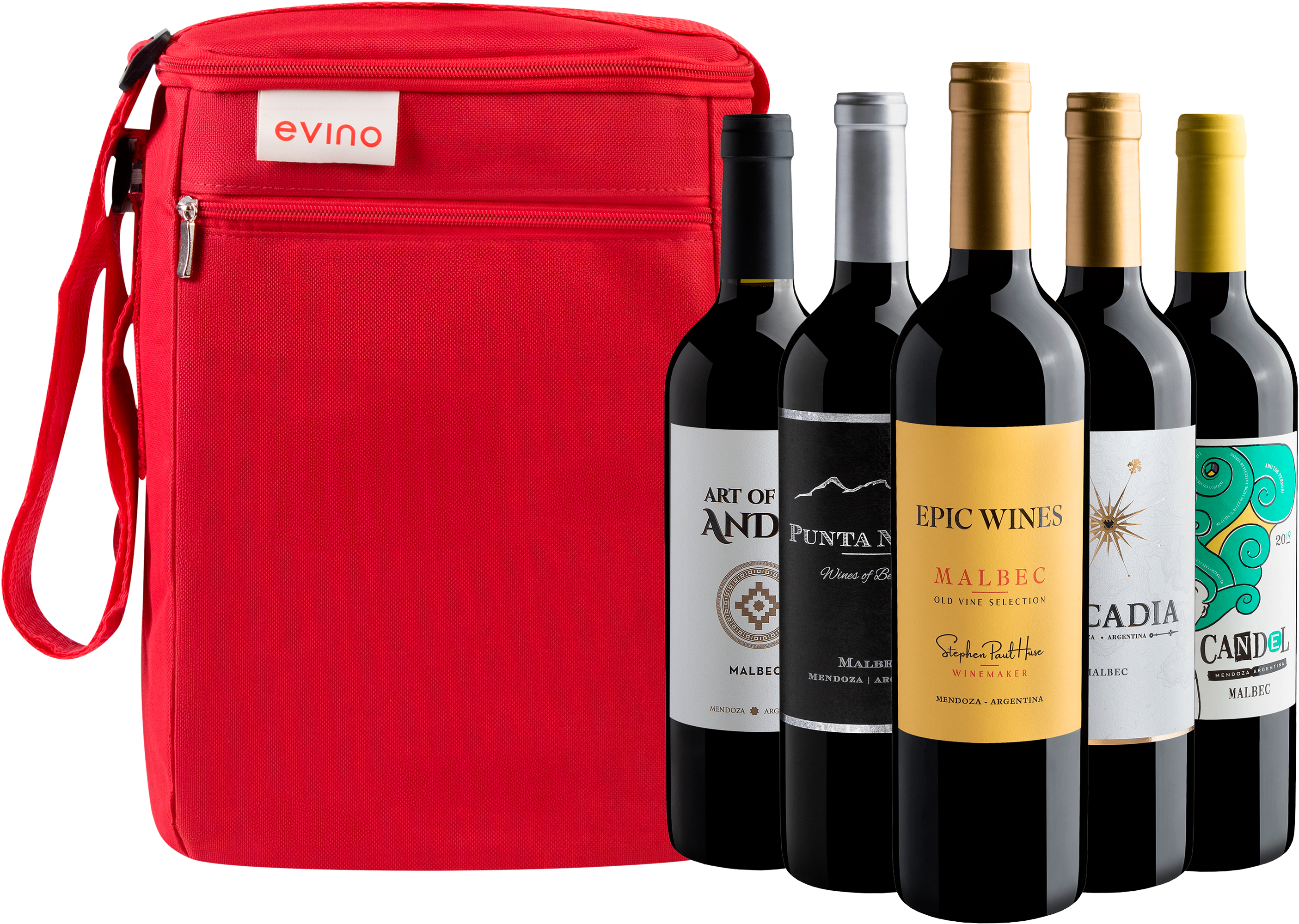 Kit 5 Malbecs Argentinos + Bolsa Exclusiva