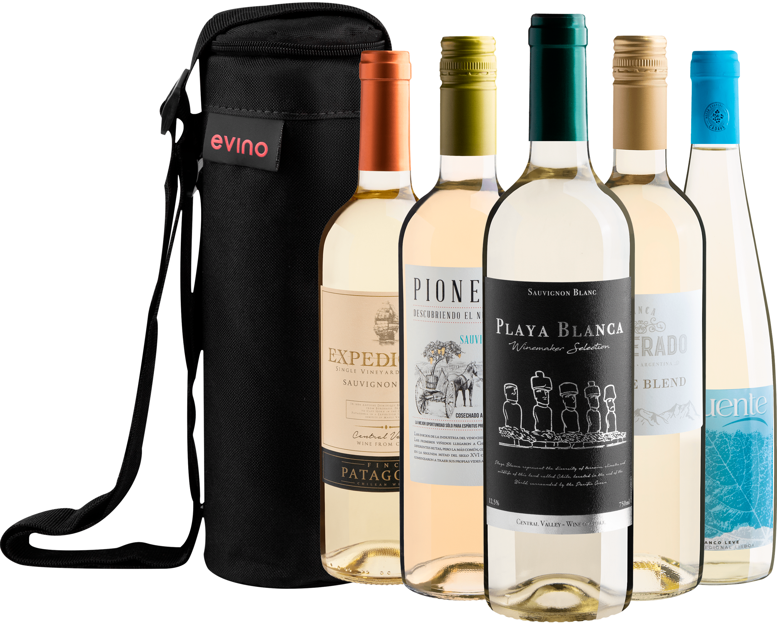 Kit 5 Vinhos Brancos com Bolsa Exclusiva