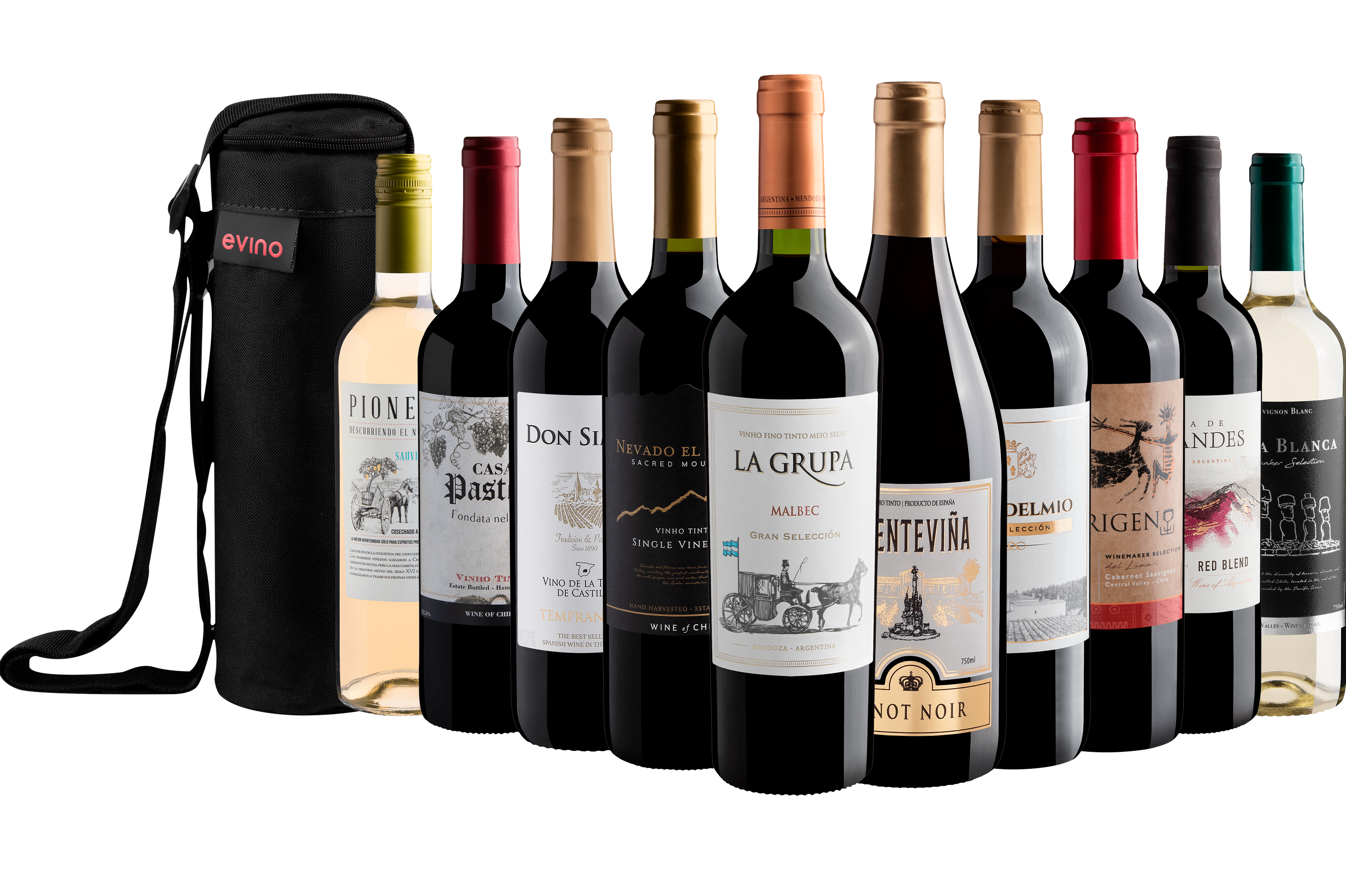 Kit 10 Vinhos + Bolsa Exclusiva Grátis