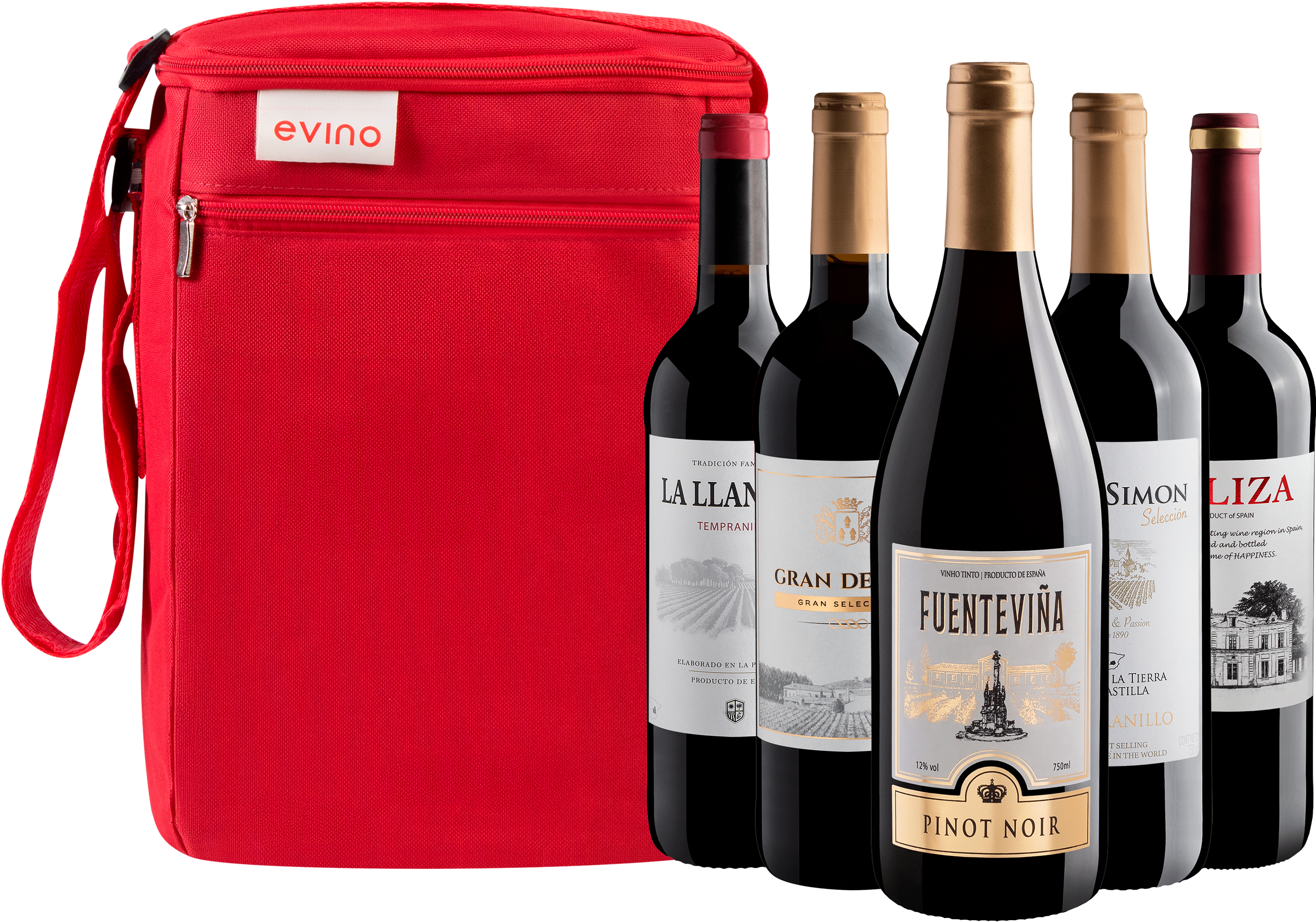 Kit 5 Vinhos Espanhóis + Bolsa Exclusiva para 5 garrafas