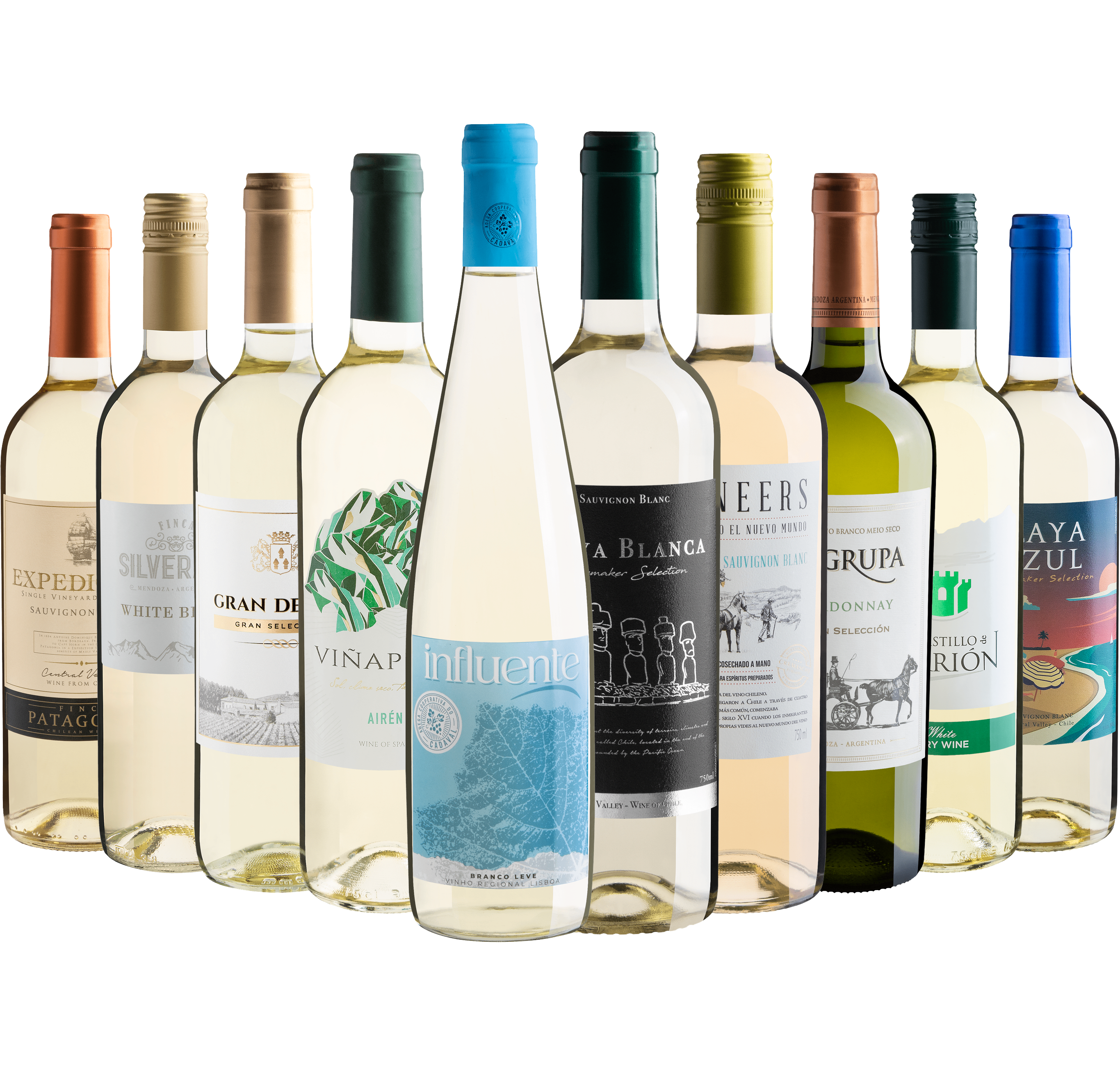 Kit 10 Vinhos Brancos*