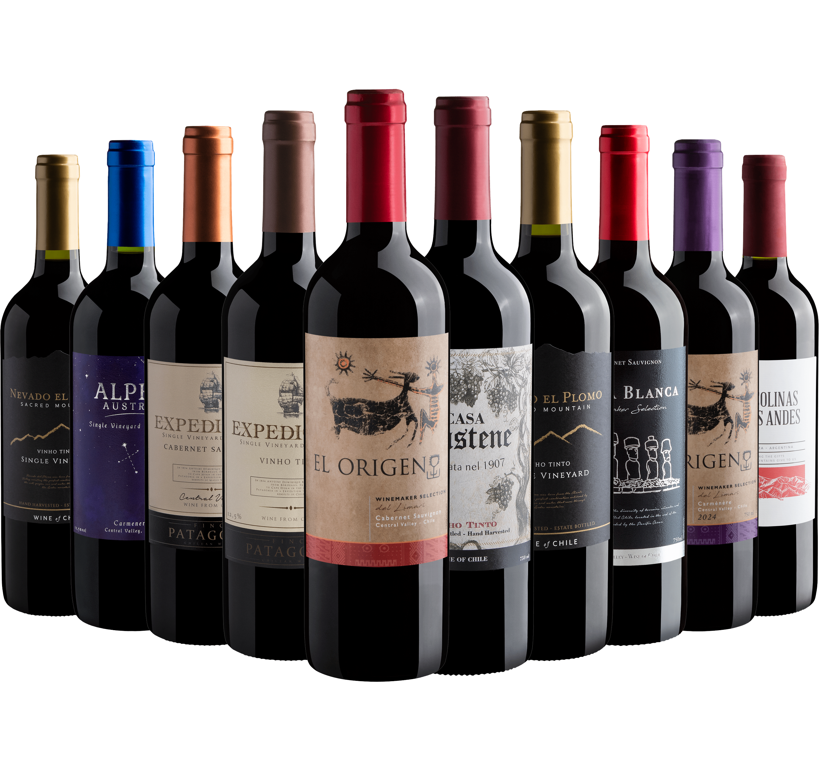 Kit 10 Vinhos Tintos do Novo Mundo*