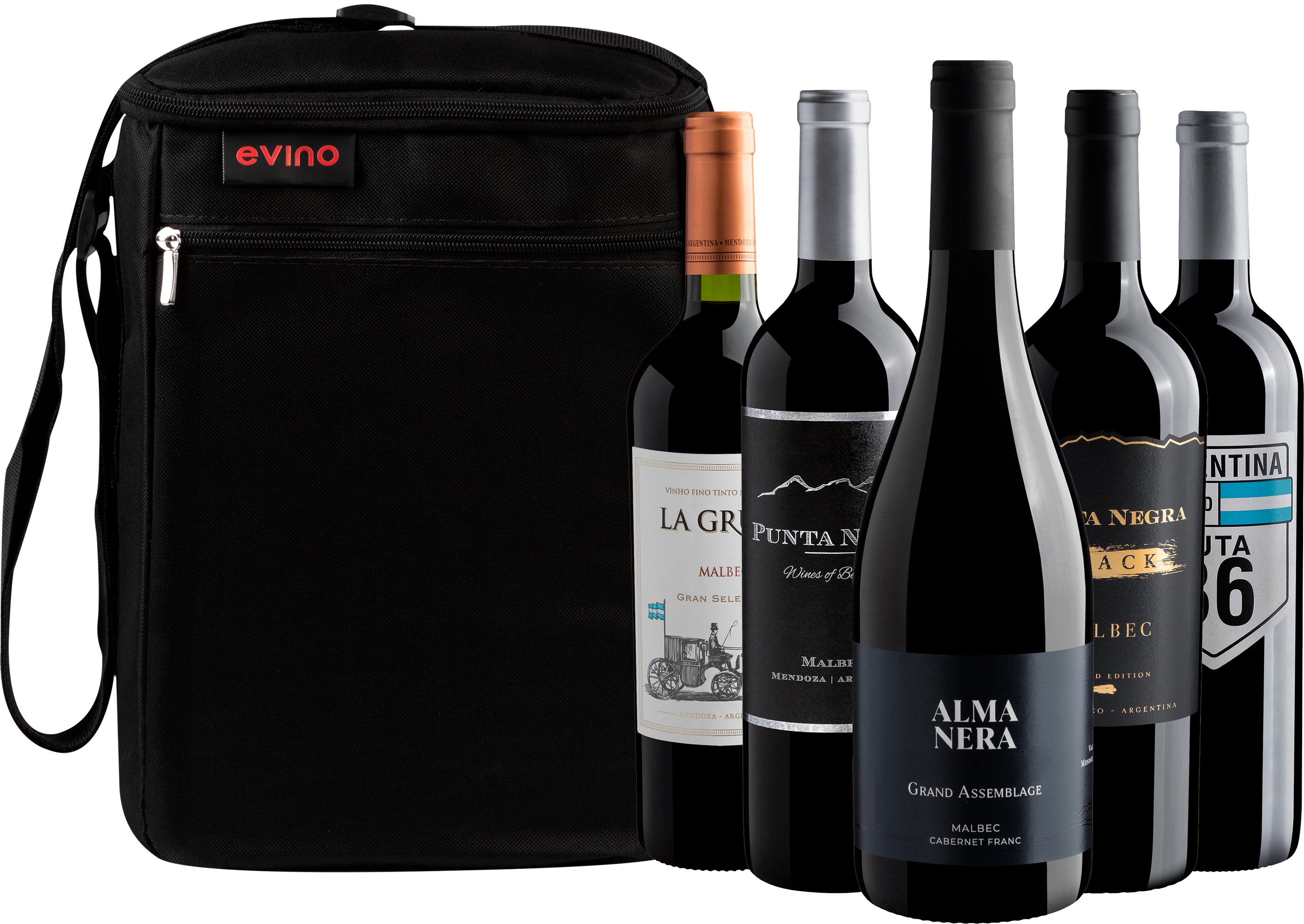 Kit 5 Tintos Argentinos + Bolsa Exclusiva