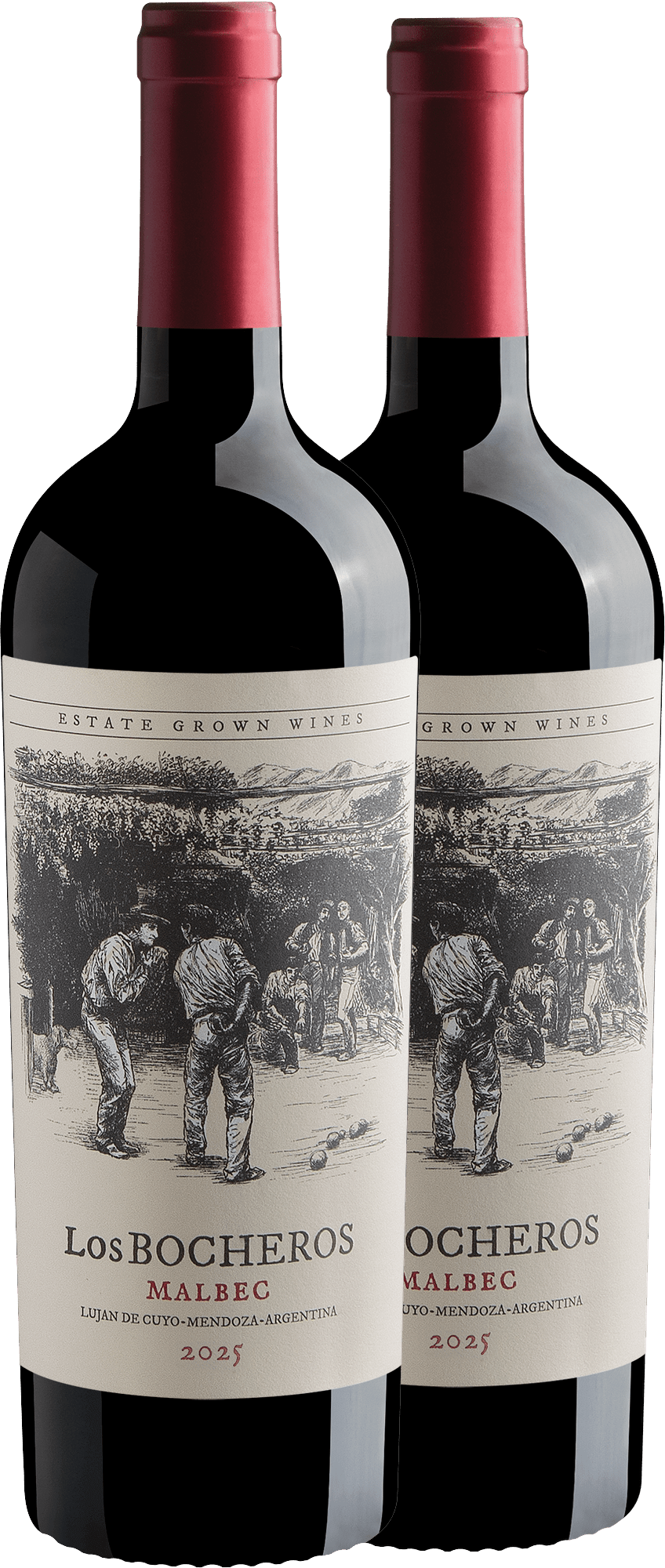 Kit 2 Los Bocheros Malbec