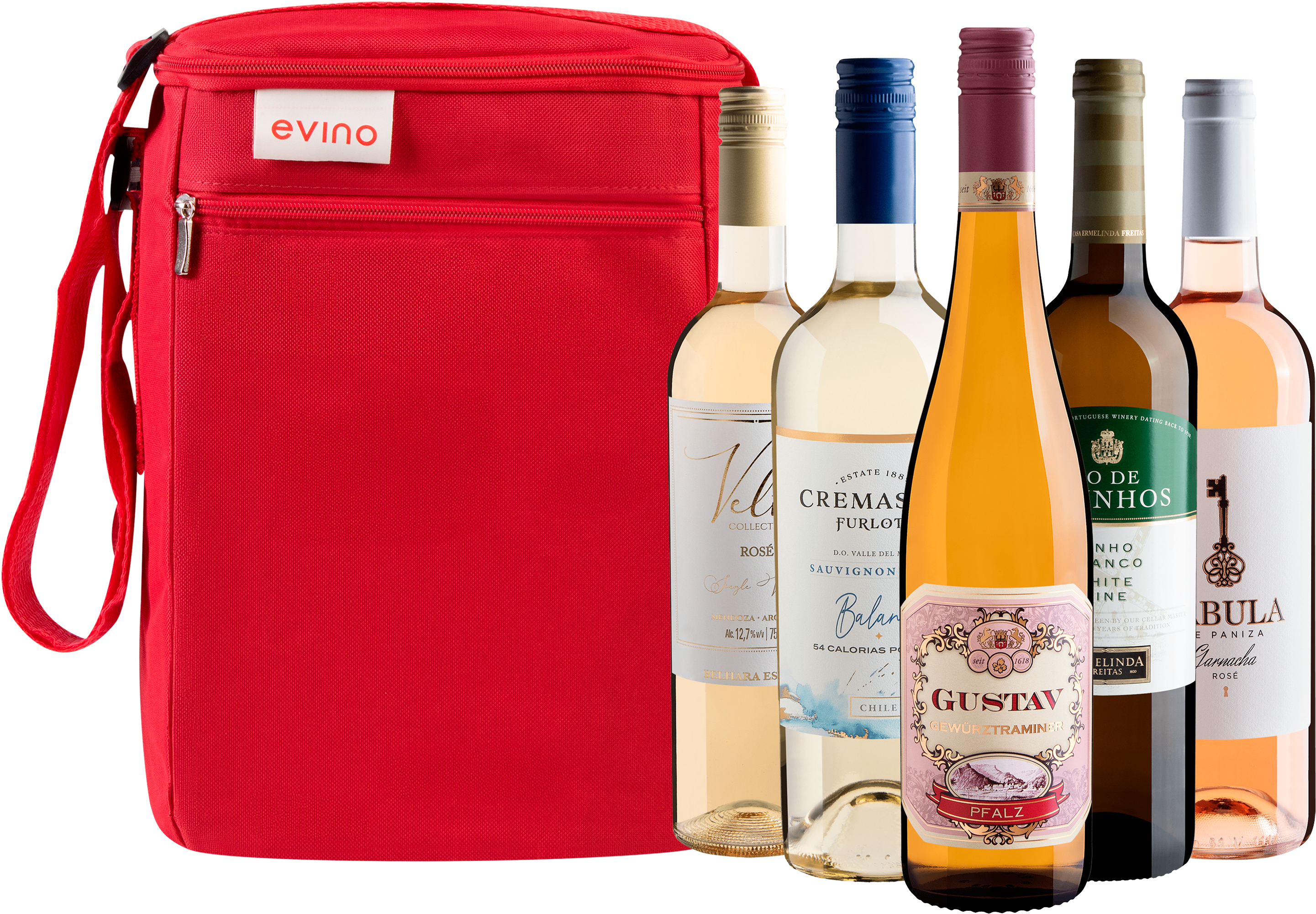 Kit 5 Vinhos Leves + Bolsa Exclusiva