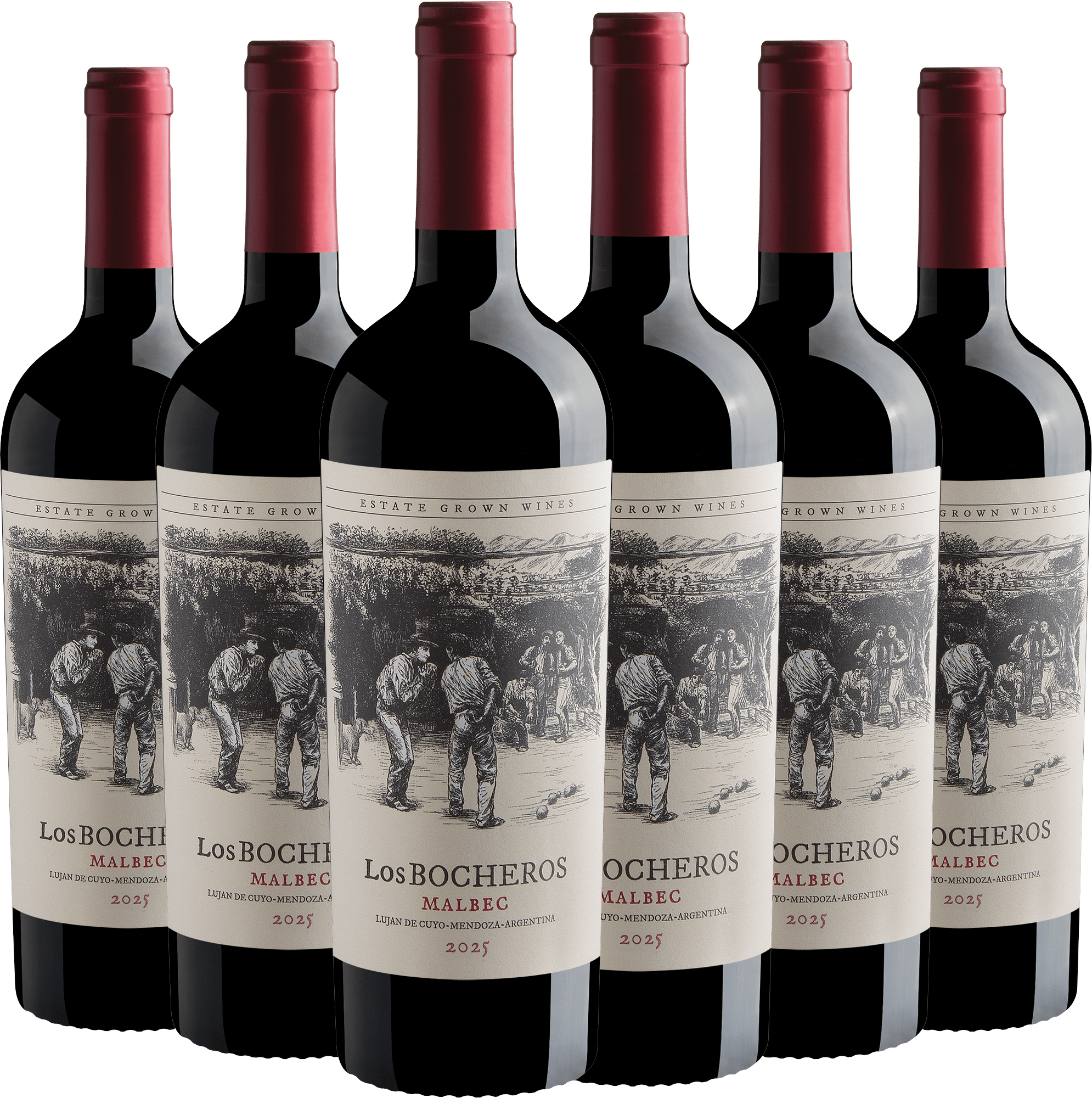 Kit 6 Los Bocheros Malbec