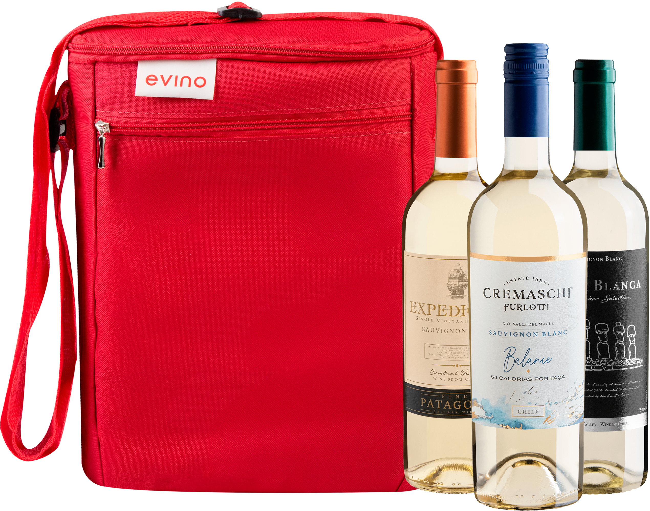 Kit 3 Sauvignons Blancs + Bolsa Exclusiva