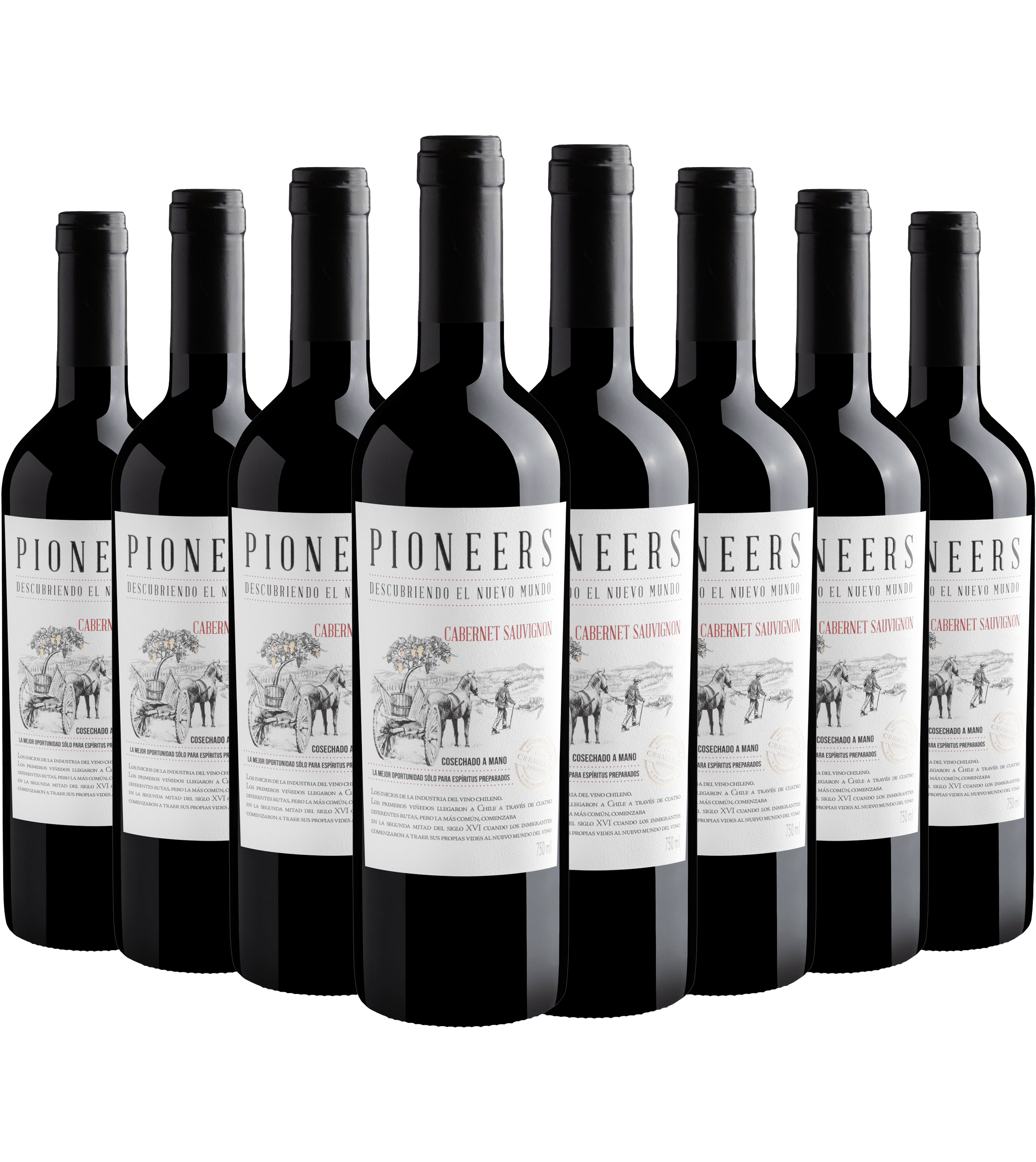 Kit 8 Pioneers Cabernet Sauvignon
