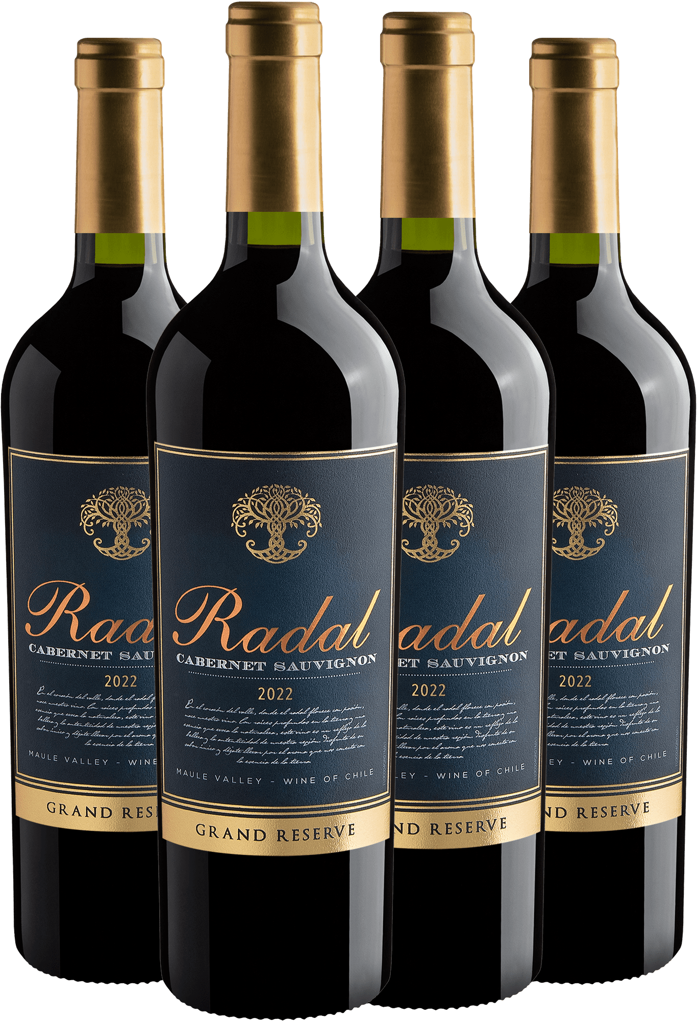 Kit 4 Radal Grand Reserve Cabernet Sauvignon