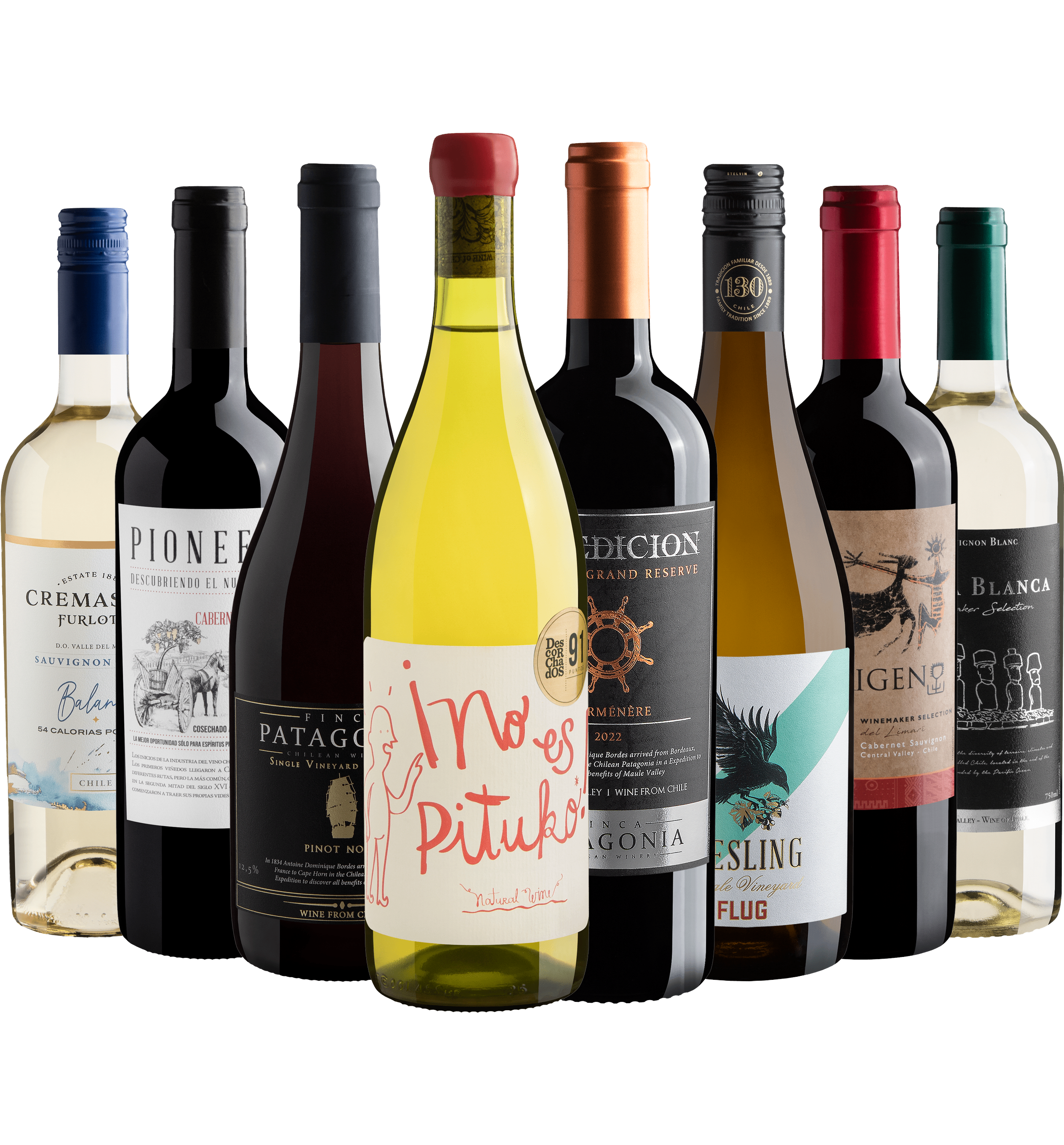 Kit 8 Vinhos Chilenos
