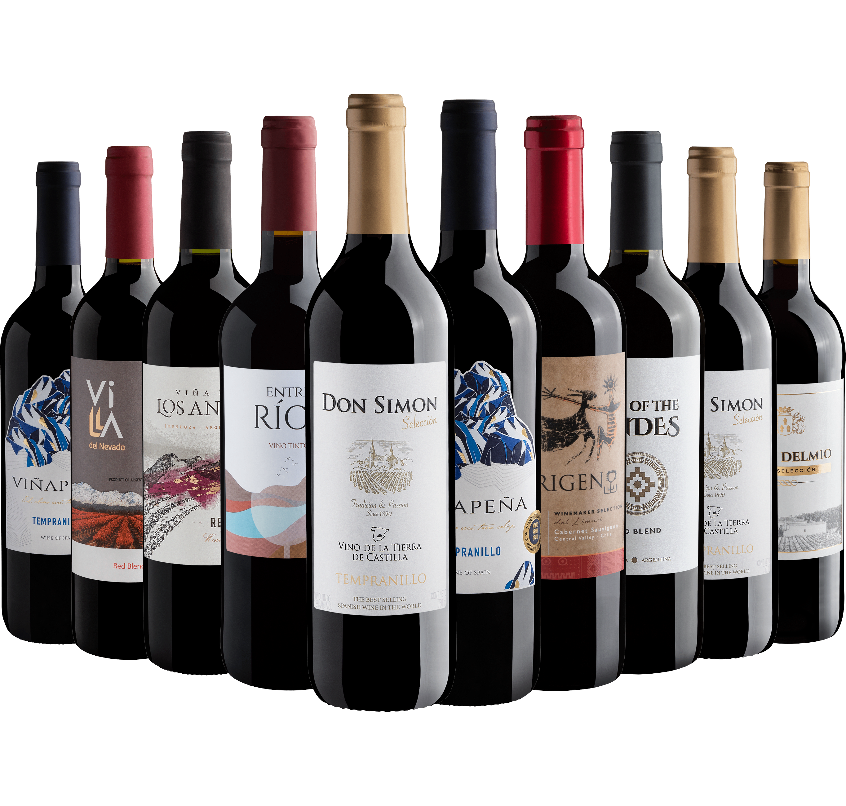 Kit 10 Vinhos Tintos*