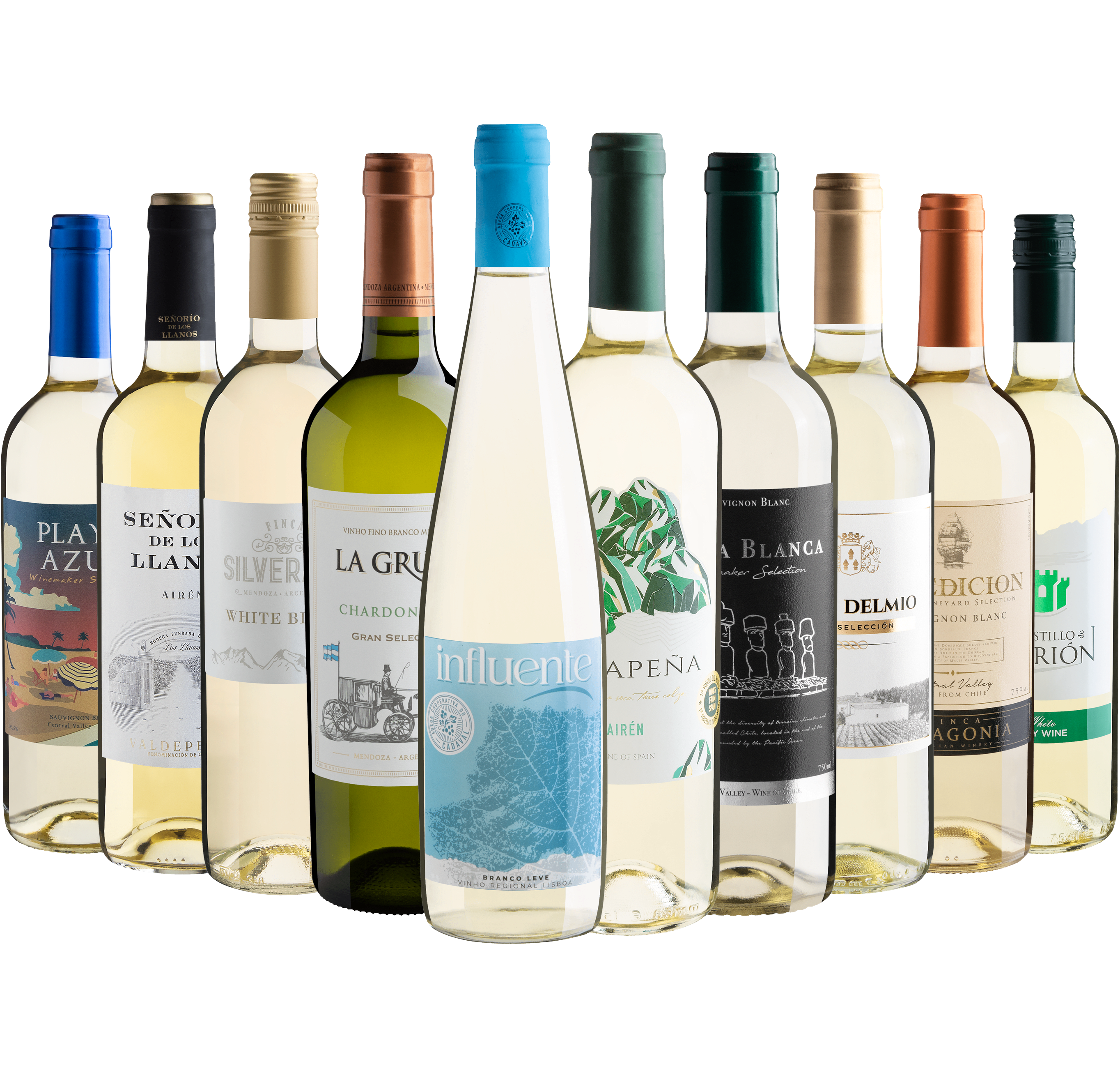 Kit 10 Vinhos Brancos*