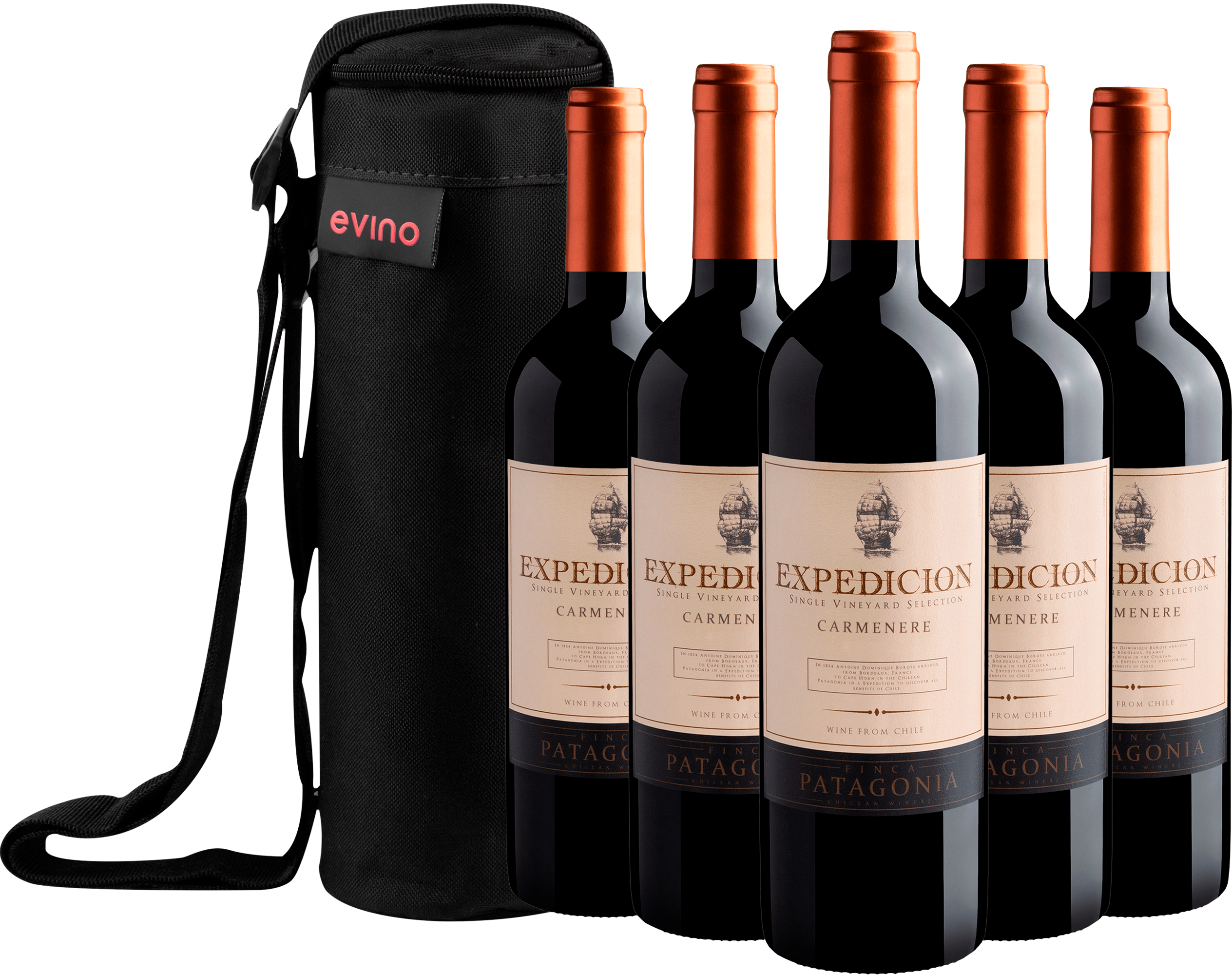 Kit 5 Finca Patagonia Expedicion Single Vineyard Selection Carménère Central Valley D.O. + Bolsa Exclusiva