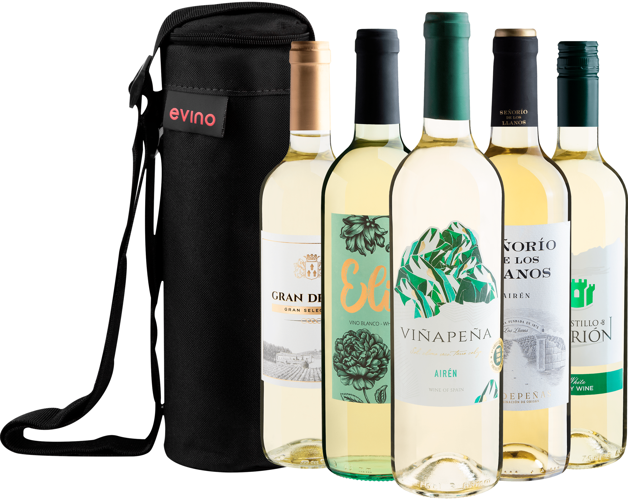 Kit 5 Vinhos Brancos Espanhóis + Bolsa Exclusiva