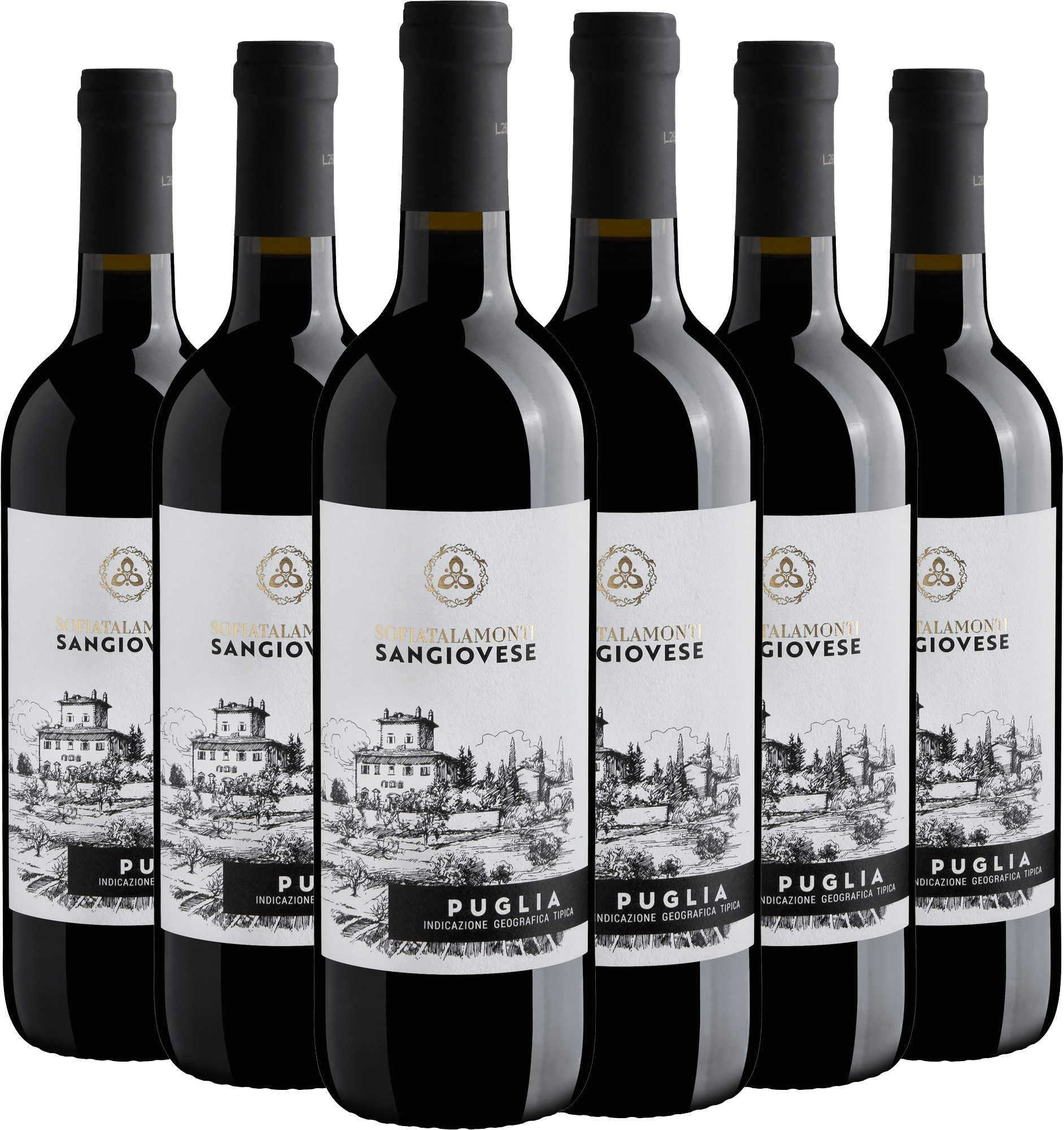 Kit 6 Sofiatalamonti Sangiovese Puglia IGT