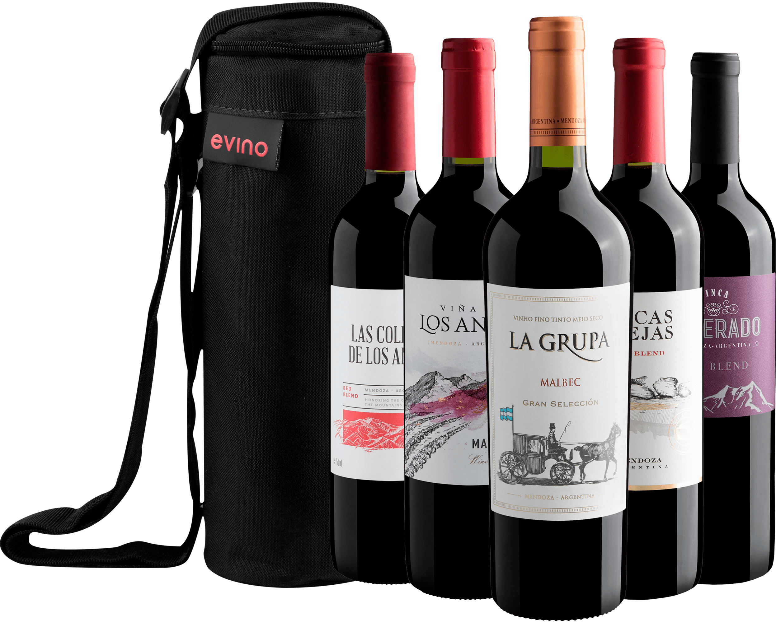 Kit 5 Tintos Argentinos + Bolsa Exclusiva