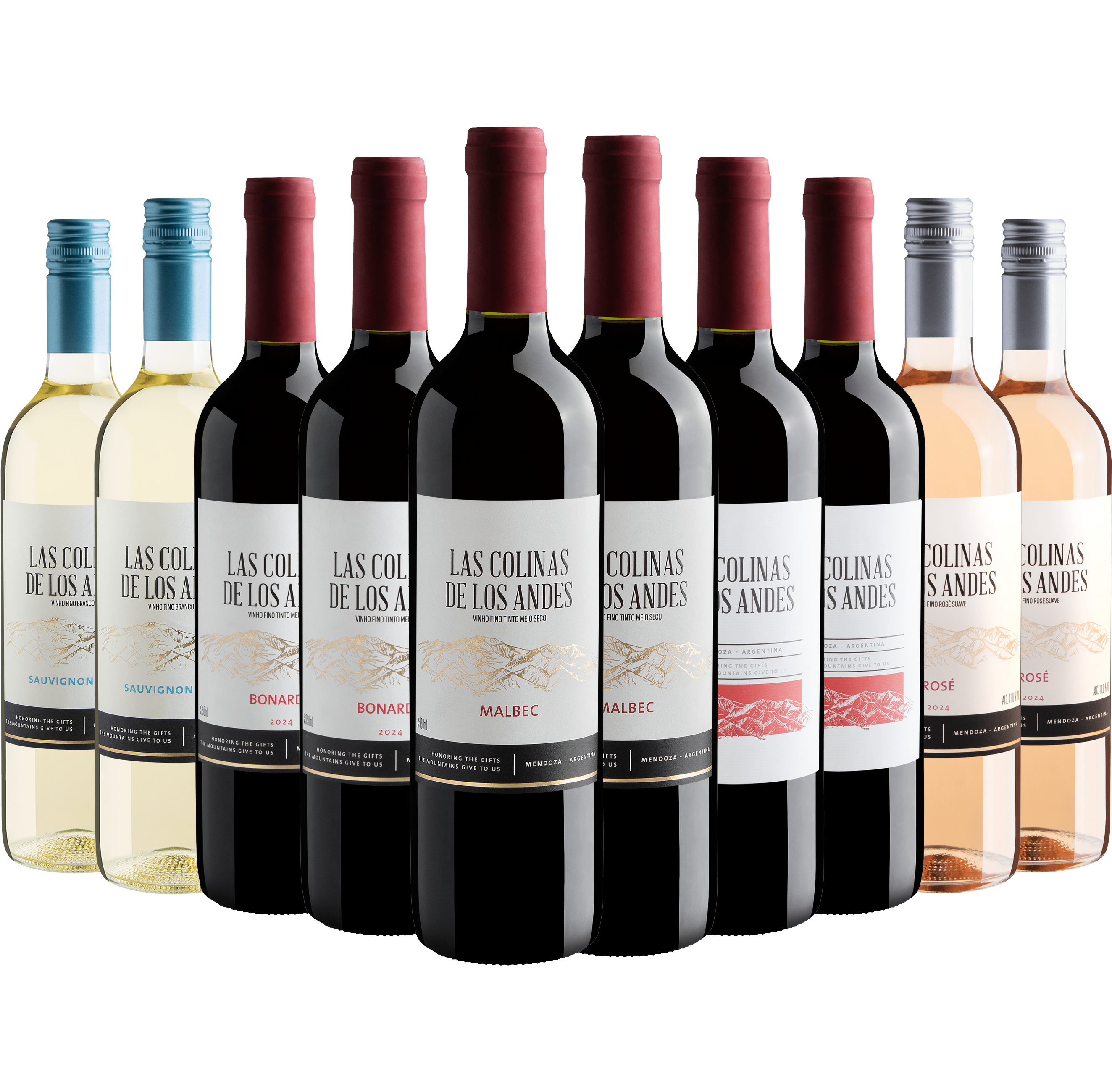 Kit Família Las Colinas de Los Andes | 6 Tintos + 2 Branco + 2 Rosé