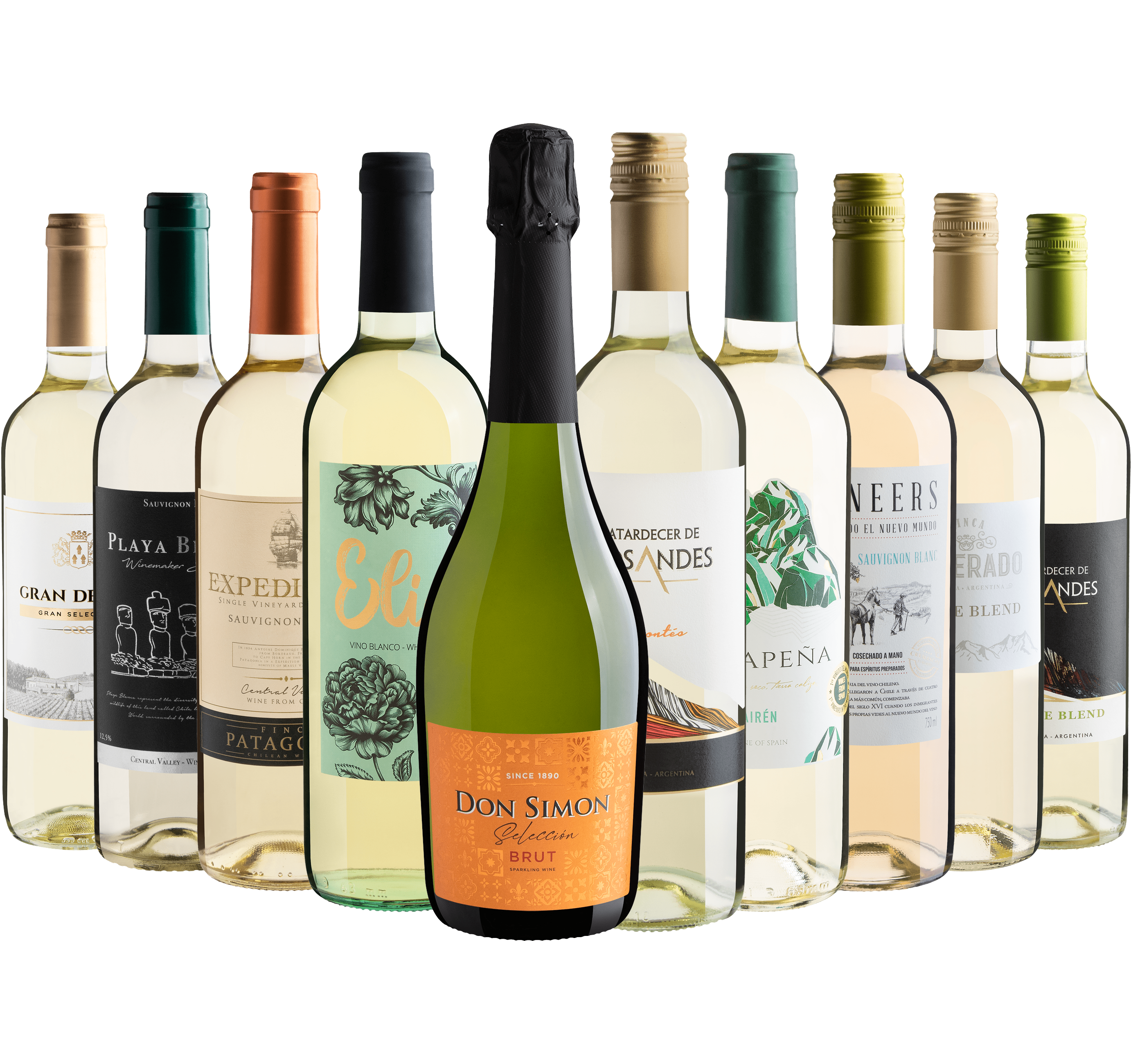 Kit 10 Brancos com Don Simon Selección Brut