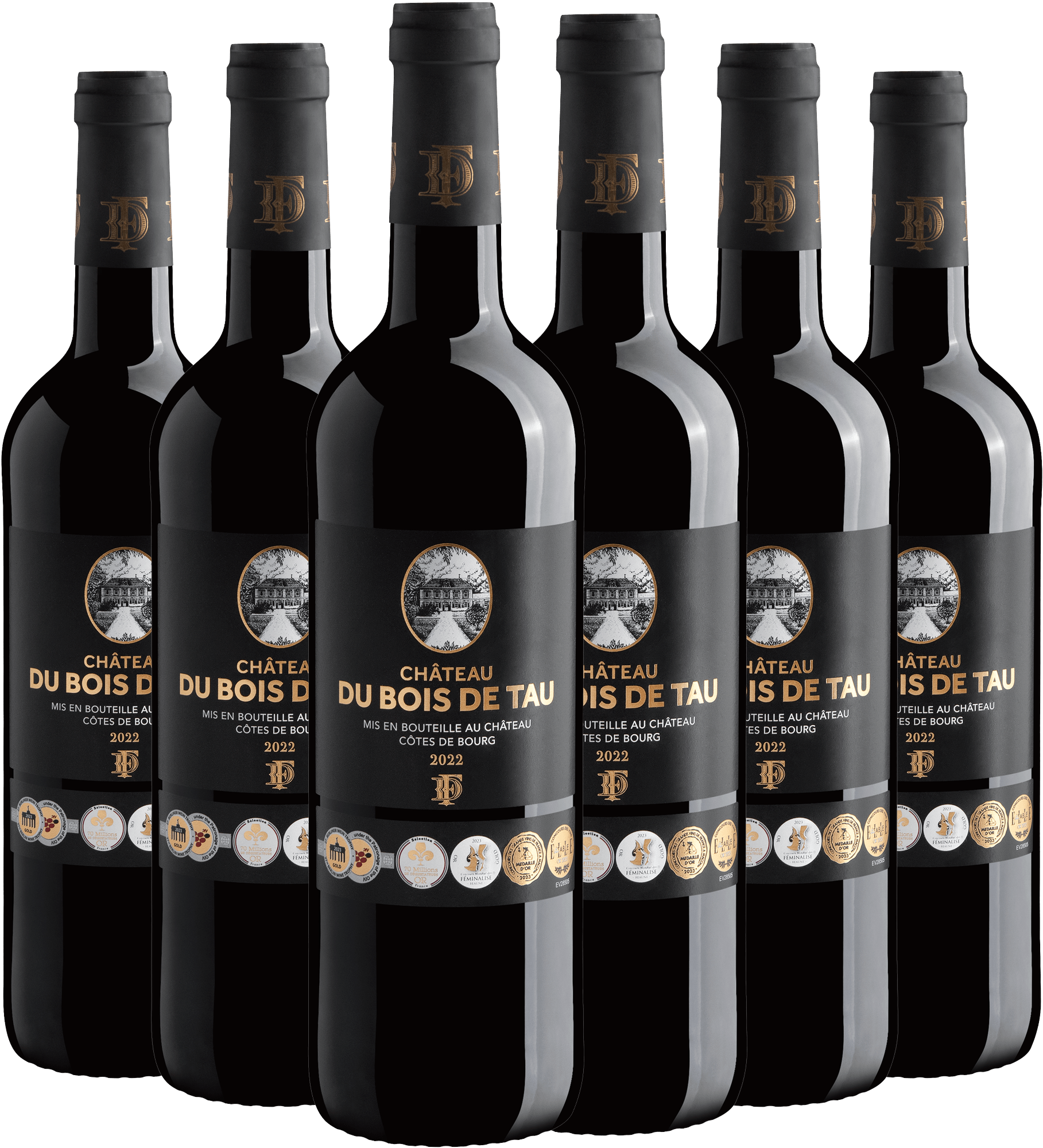 Kit 6 Château du Bois de Tau Côtes de Bourg AOC 2022