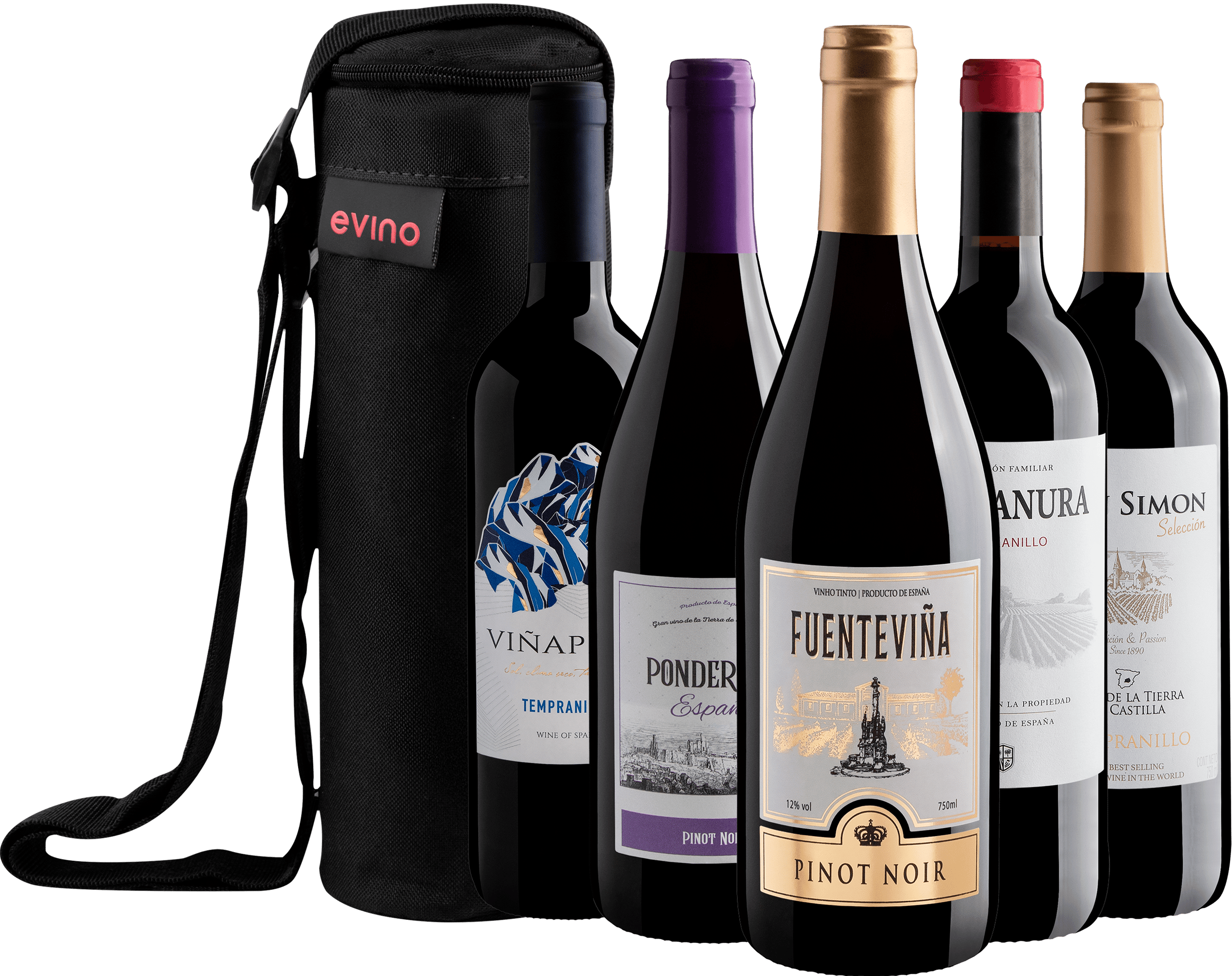 Kit 2 Pinots Noirs + 3 Tempranillos + Bolsa Exclusiva