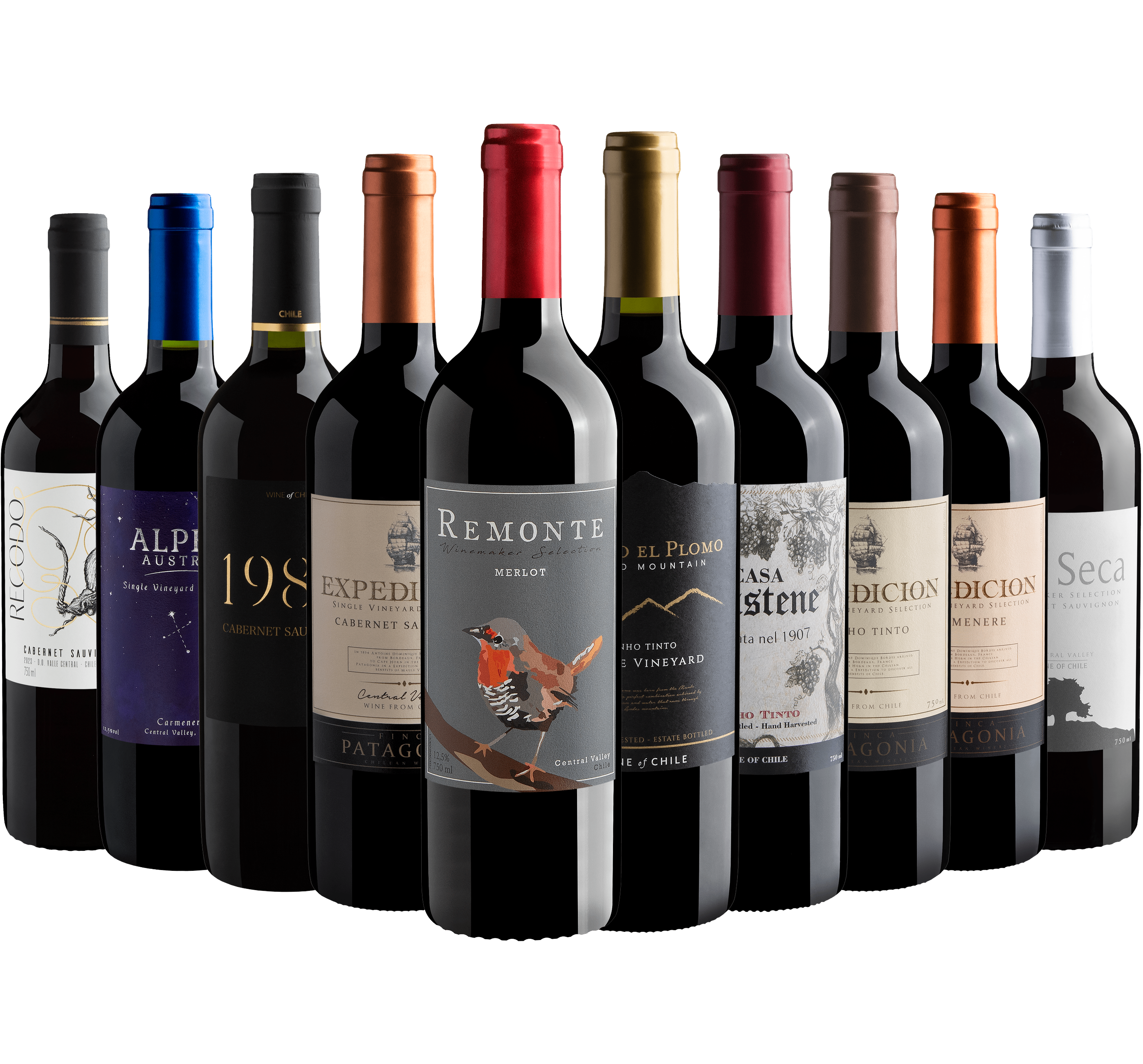 Kit 10 Vinhos do Chile*