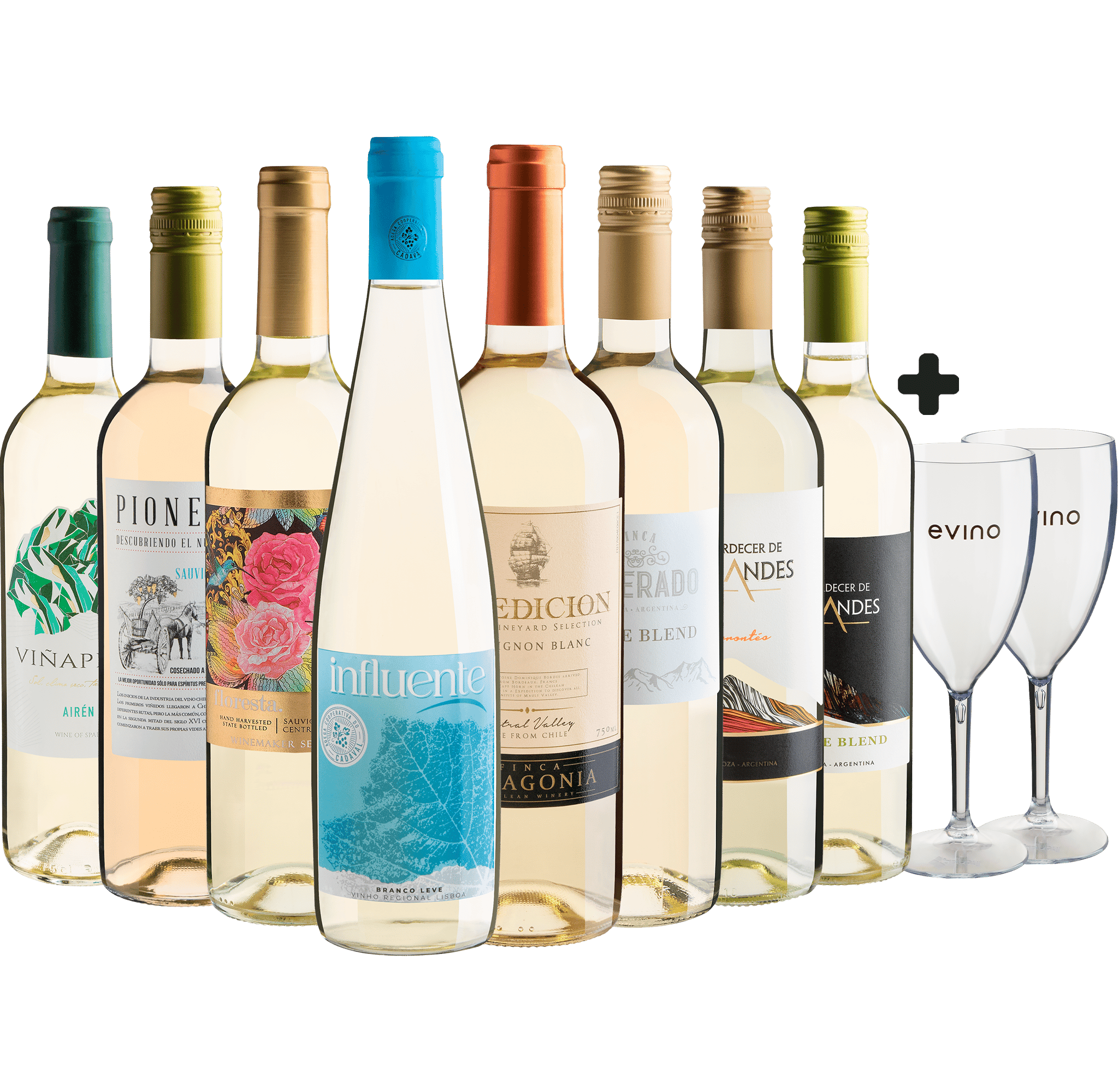 Kit 8 Vinhos Brancos + 2 Taças Exclusivas Grátis*