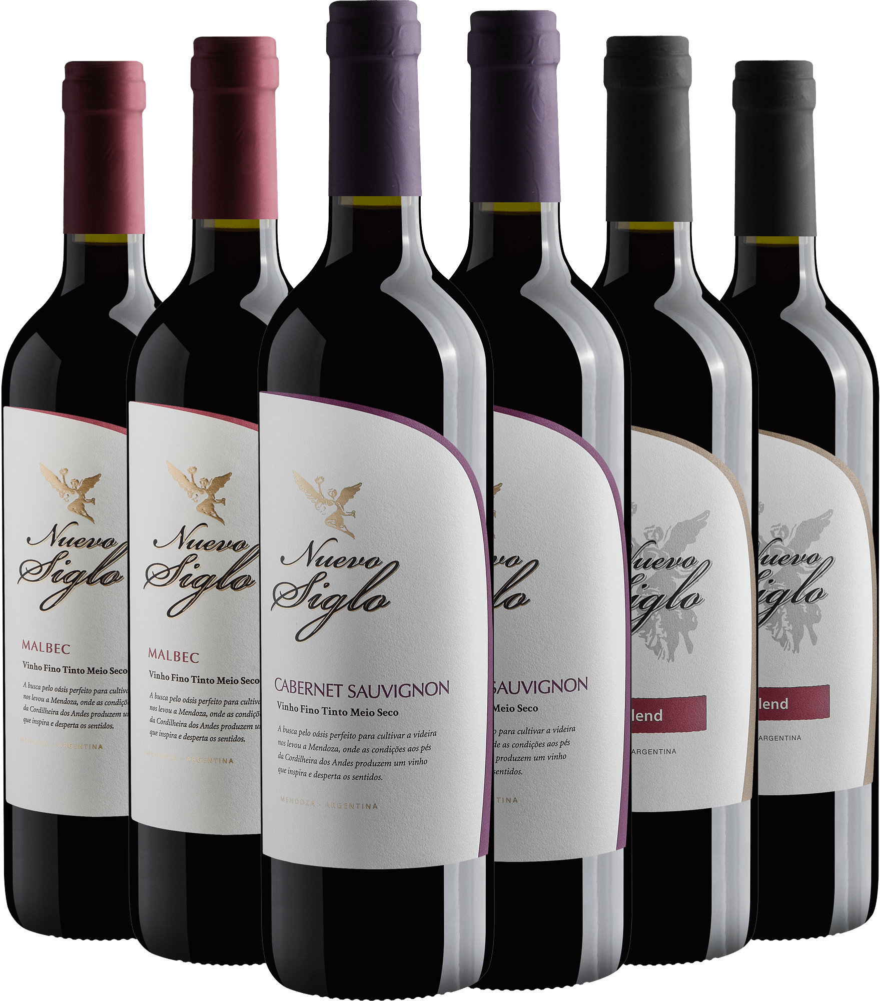 Kit Família Nuevo Siglo: 2 Malbec + 2 Cabernet Sauvignon + 2 Red Blend