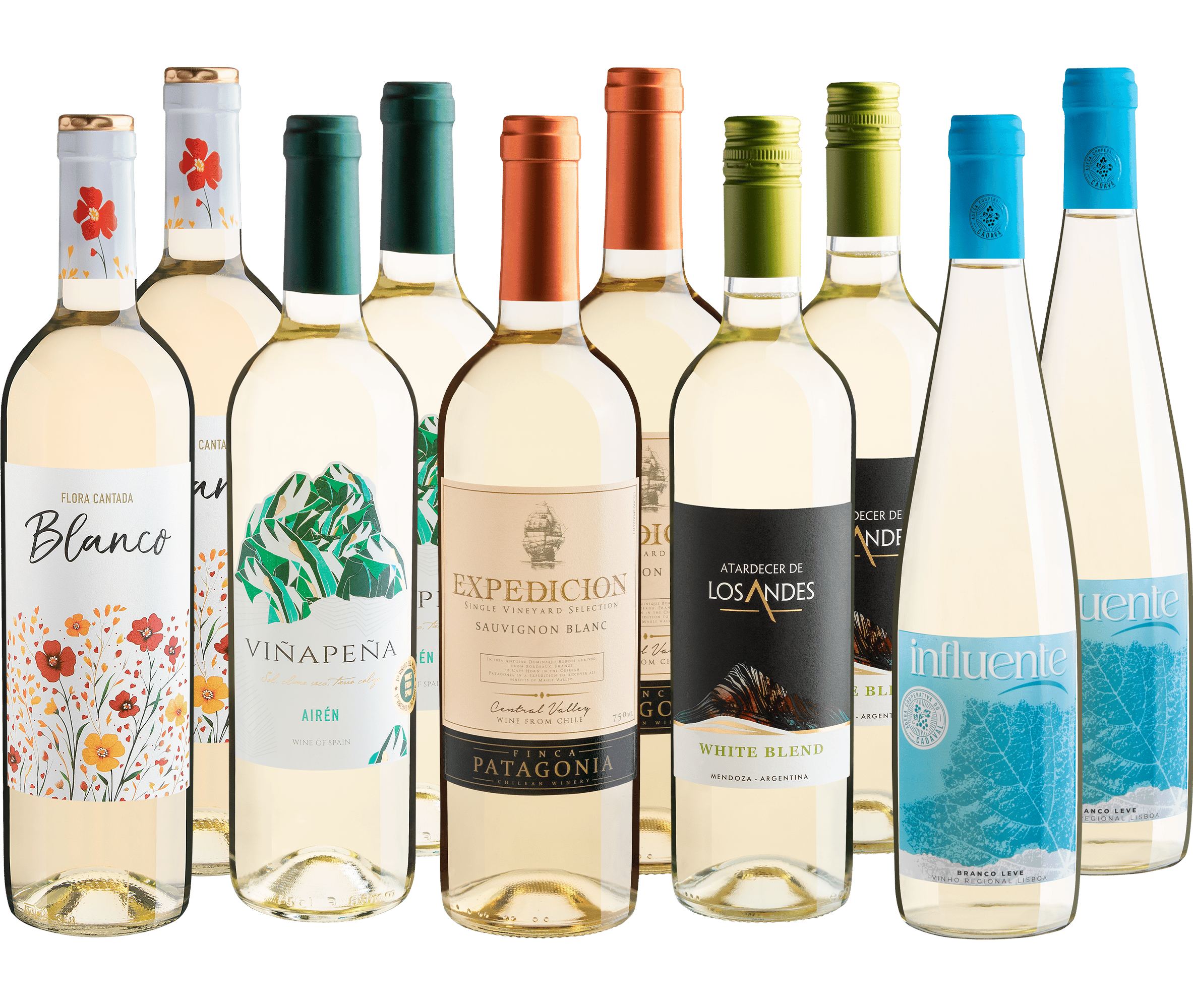 Kit Vinhos Brancos em Dobro | 10 garrafas*