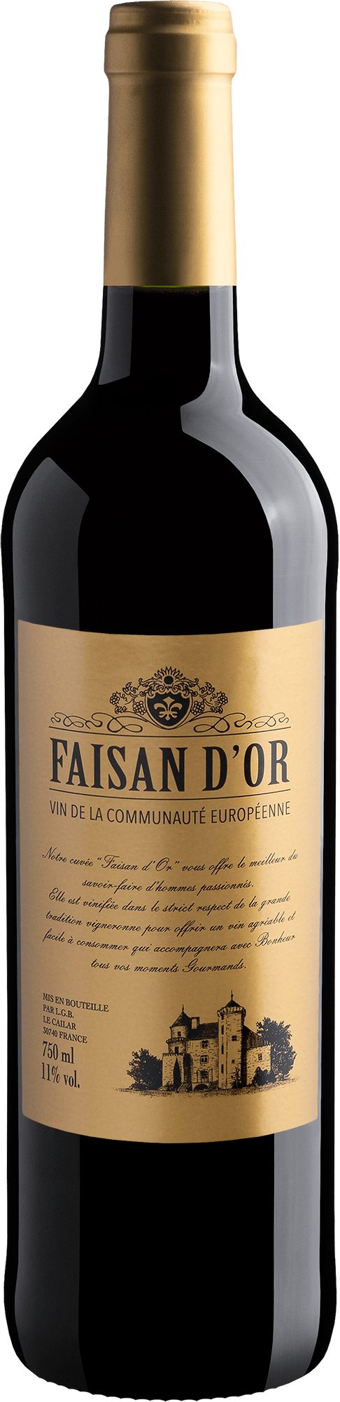 Faisan d'Or Rouge 2019