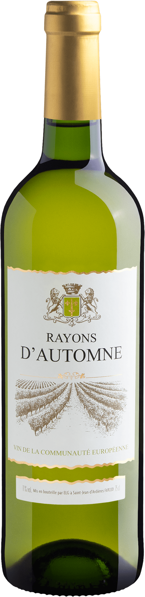 Rayons D' Automne Blanc 2019