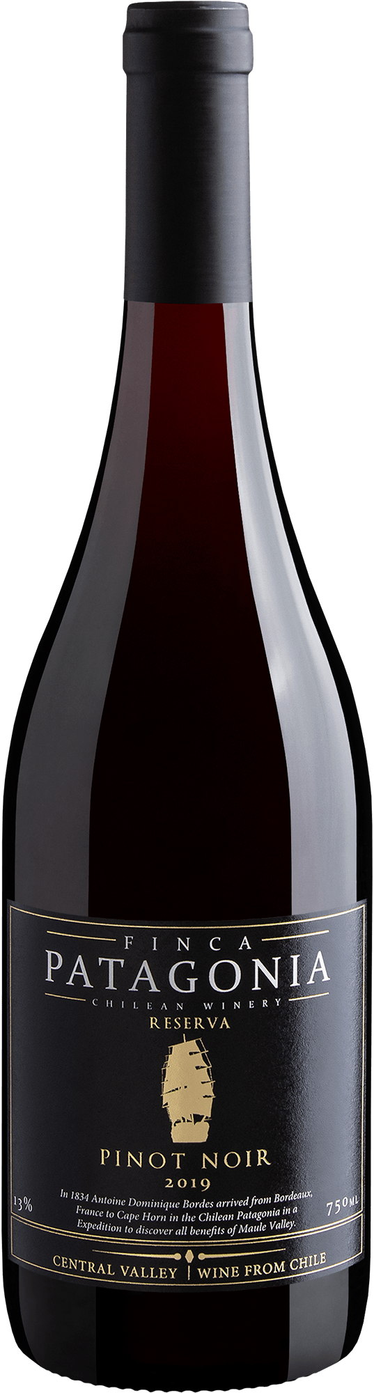 Finca Patagonia Reserva Pinot Noir Central Valley D.O. 2020