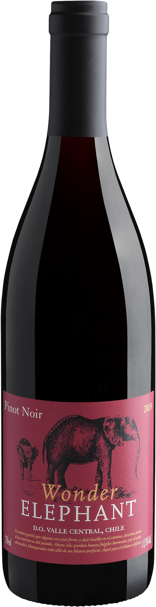 Wonder Elephant Pinot Noir Valle Central D.O. 2019