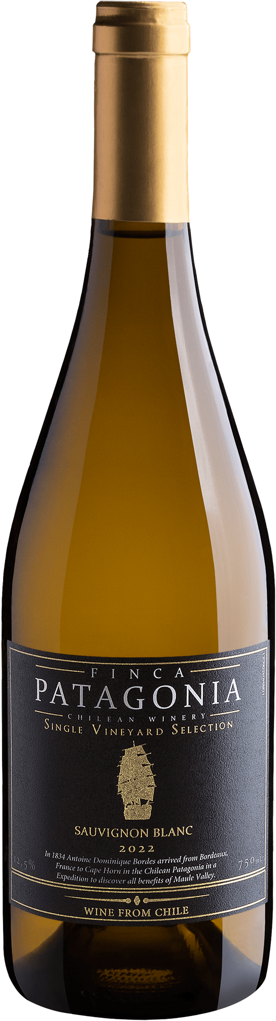 Finca Patagonia Single Vineyard Selection Sauvignon Blanc Central Valley D.O. 2022