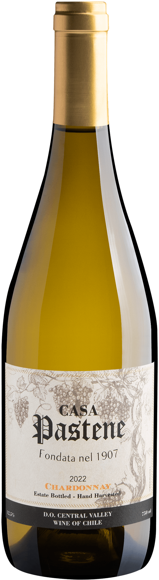 Casa Pastene Chardonnay Central Valley D.O.