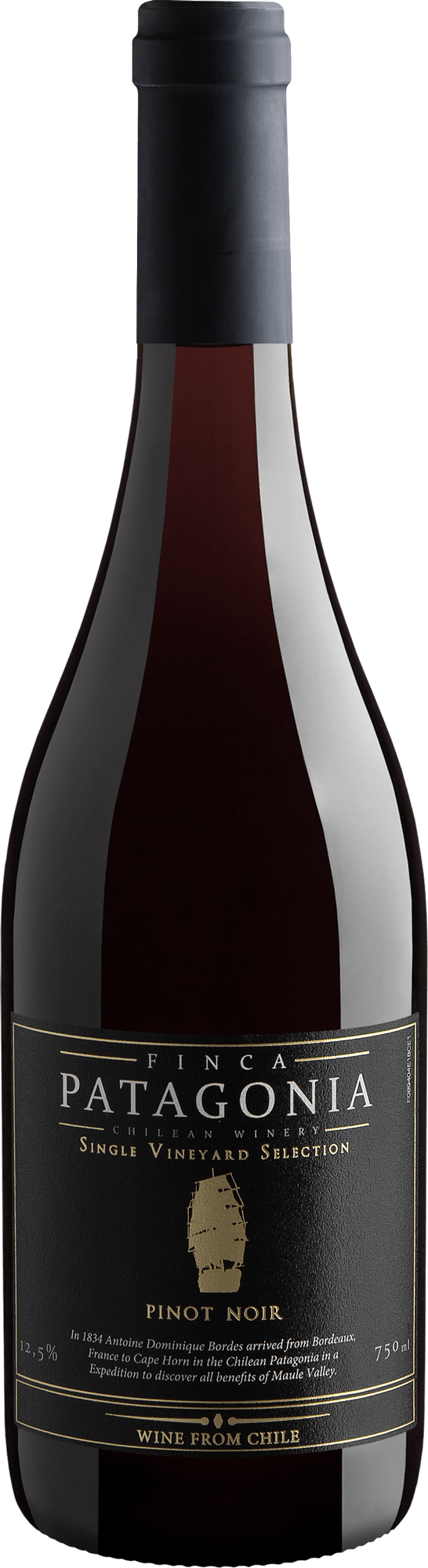 Finca Patagonia Single Vineyard Selection Pinot Noir Central Valley D.O.