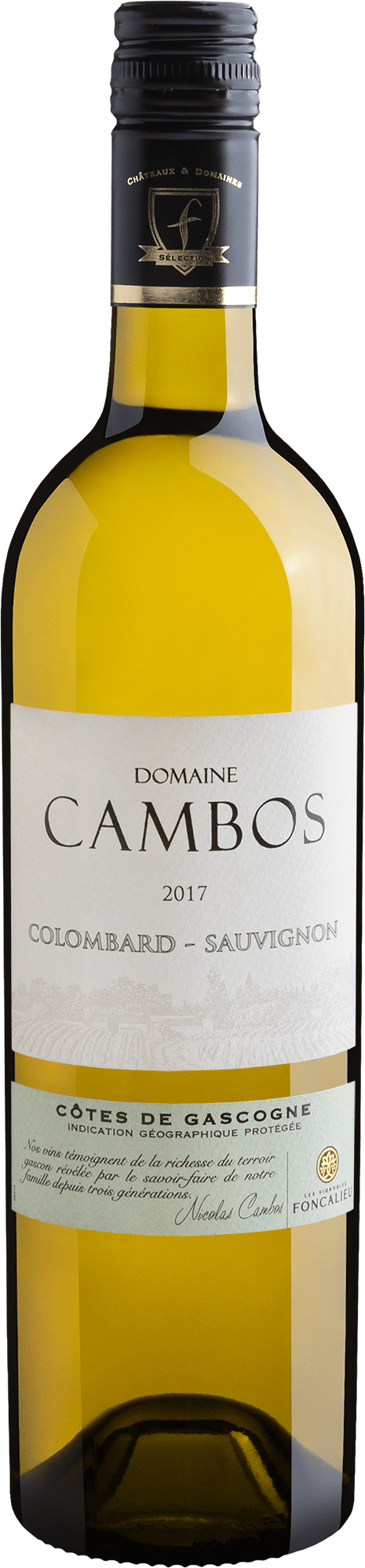Domaine Cambos Colombard-Sauvignon Côtes de Gascogne IGP