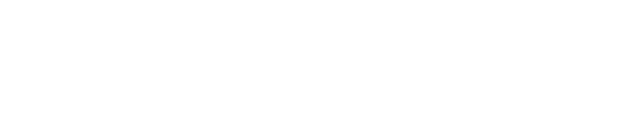 Moët Hennessy