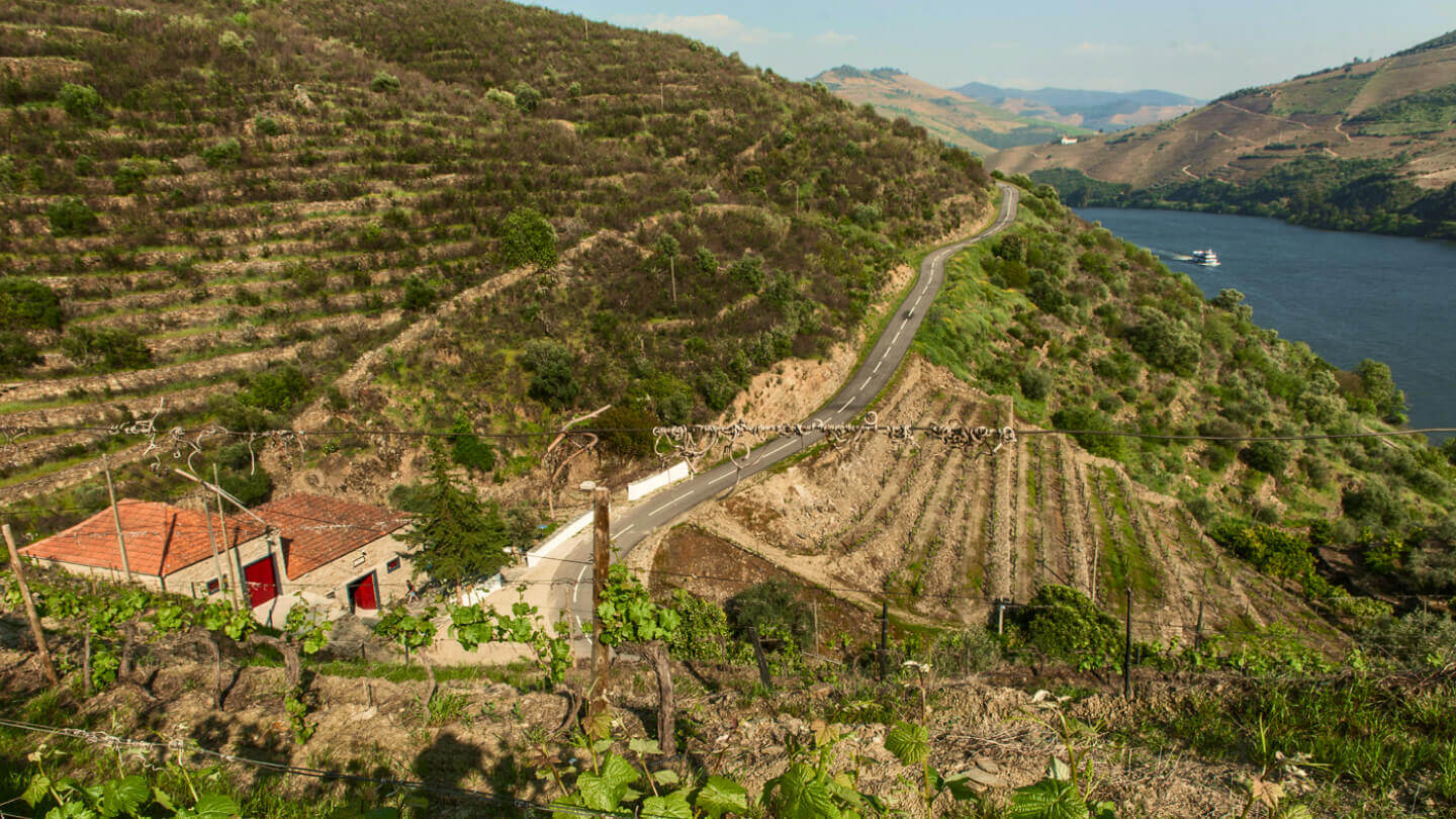 Vinícola António Maçanita