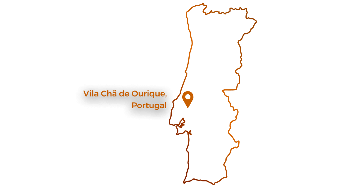 Mapa da região